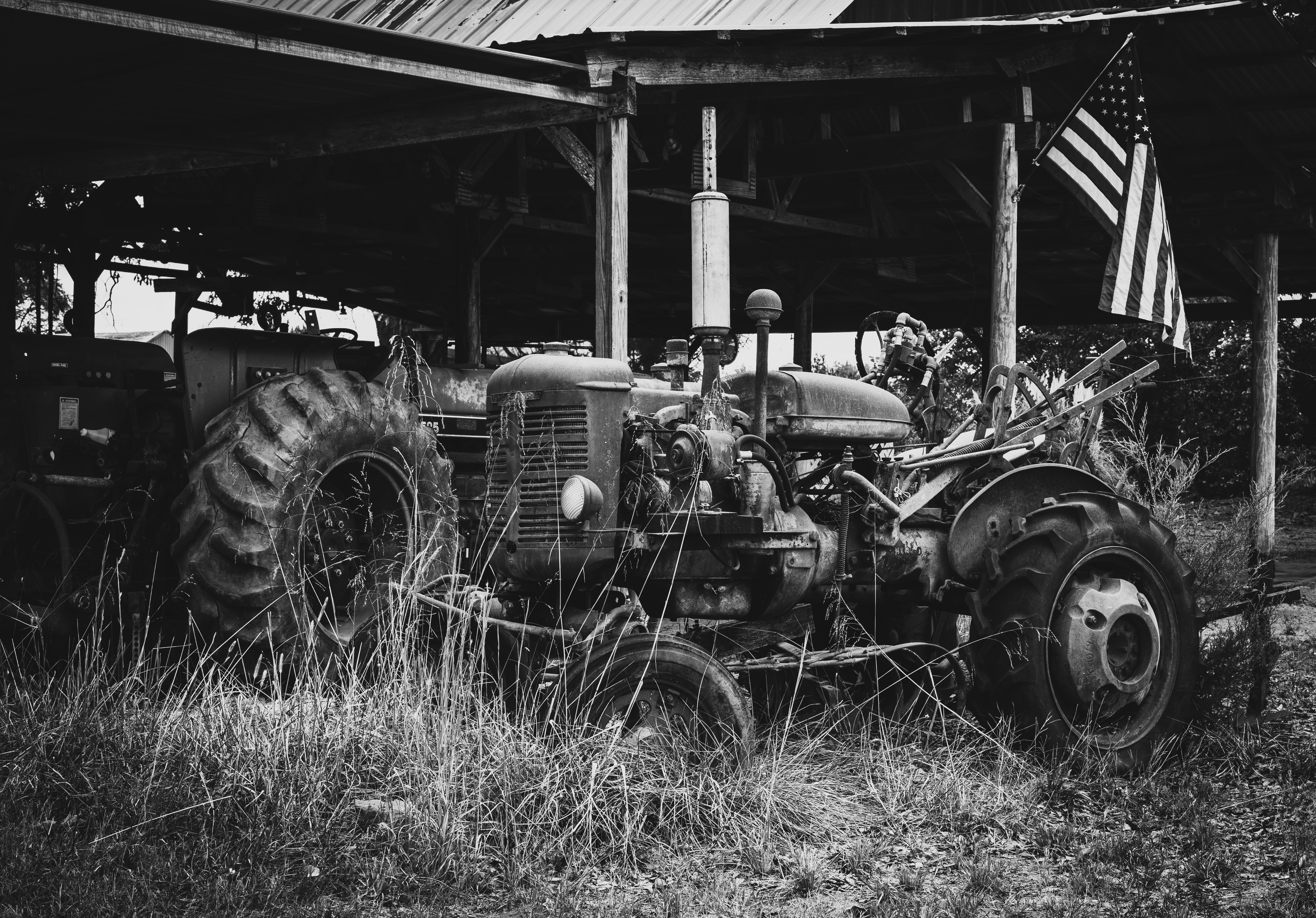 forgotton harvest