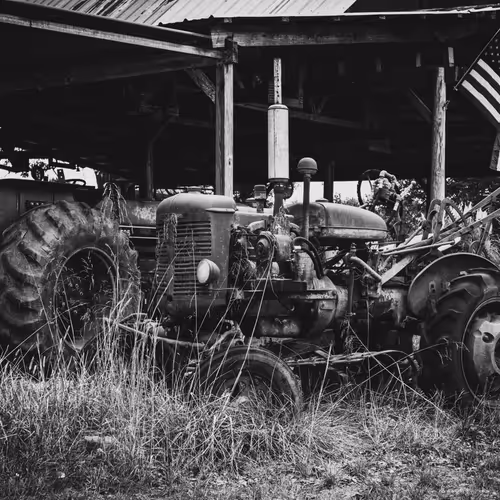forgotton harvest