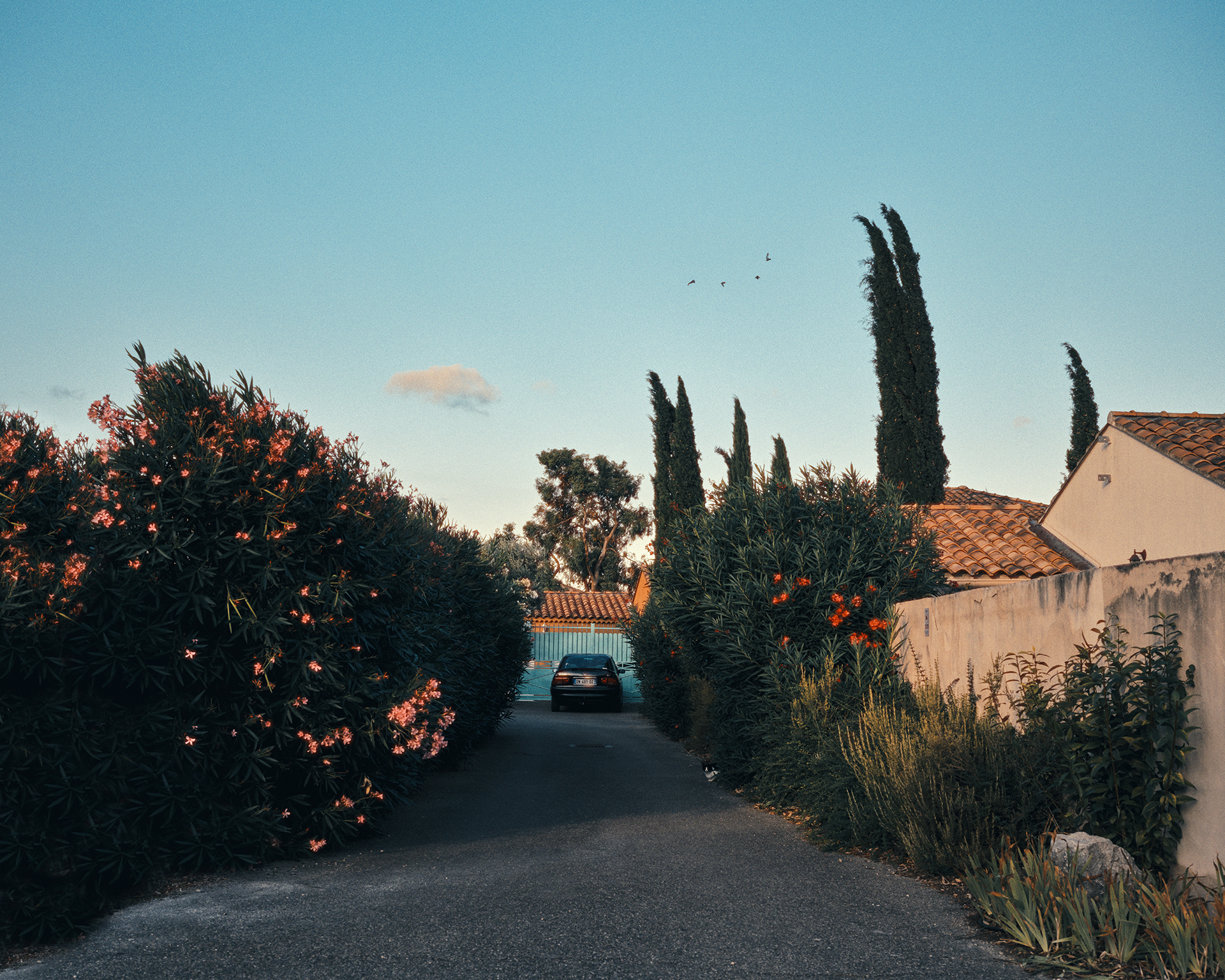 Provence_01