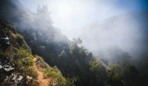 Big Sur - 16