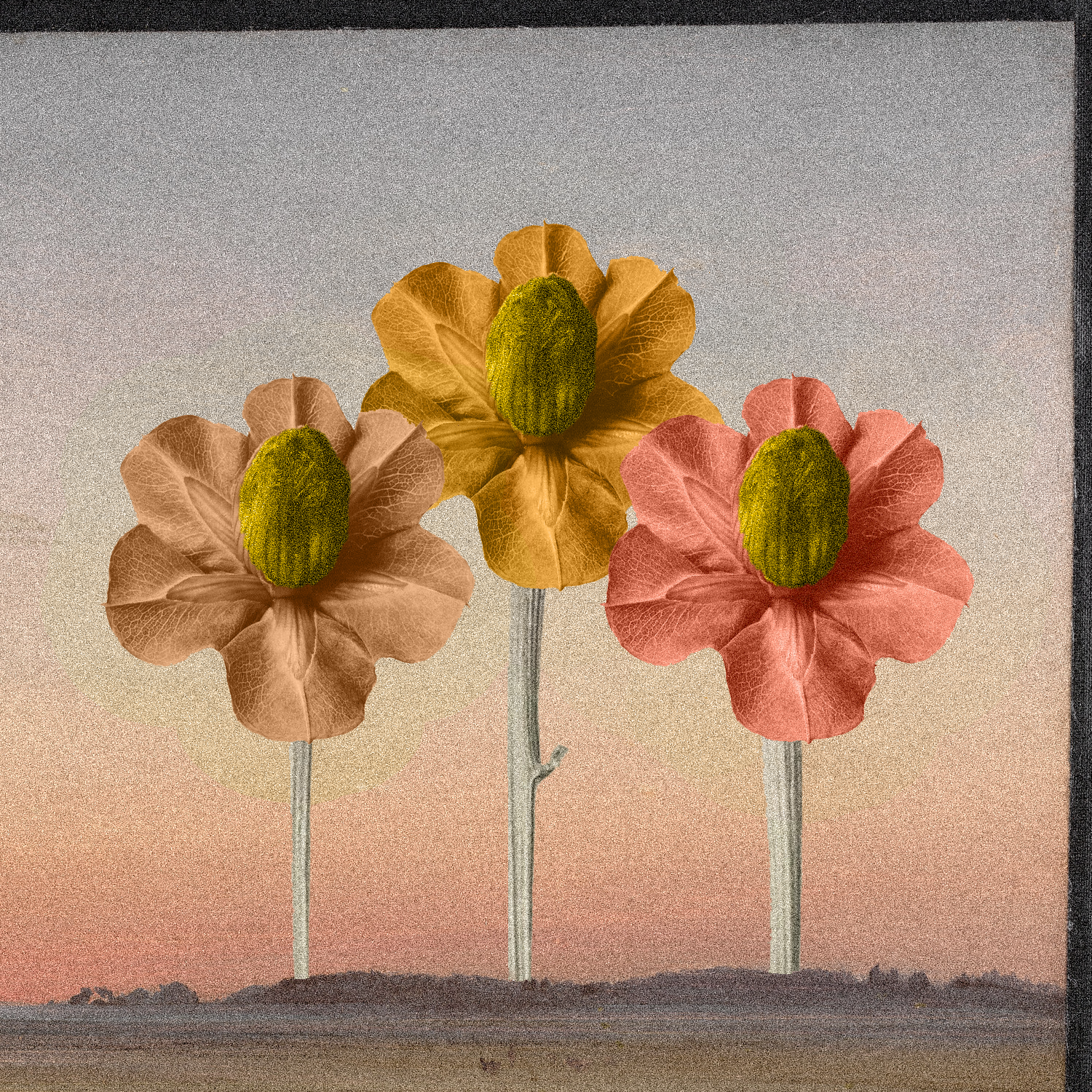 Colour Study™ — Floral v2