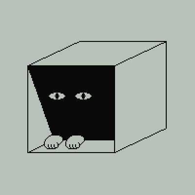 meow.gif