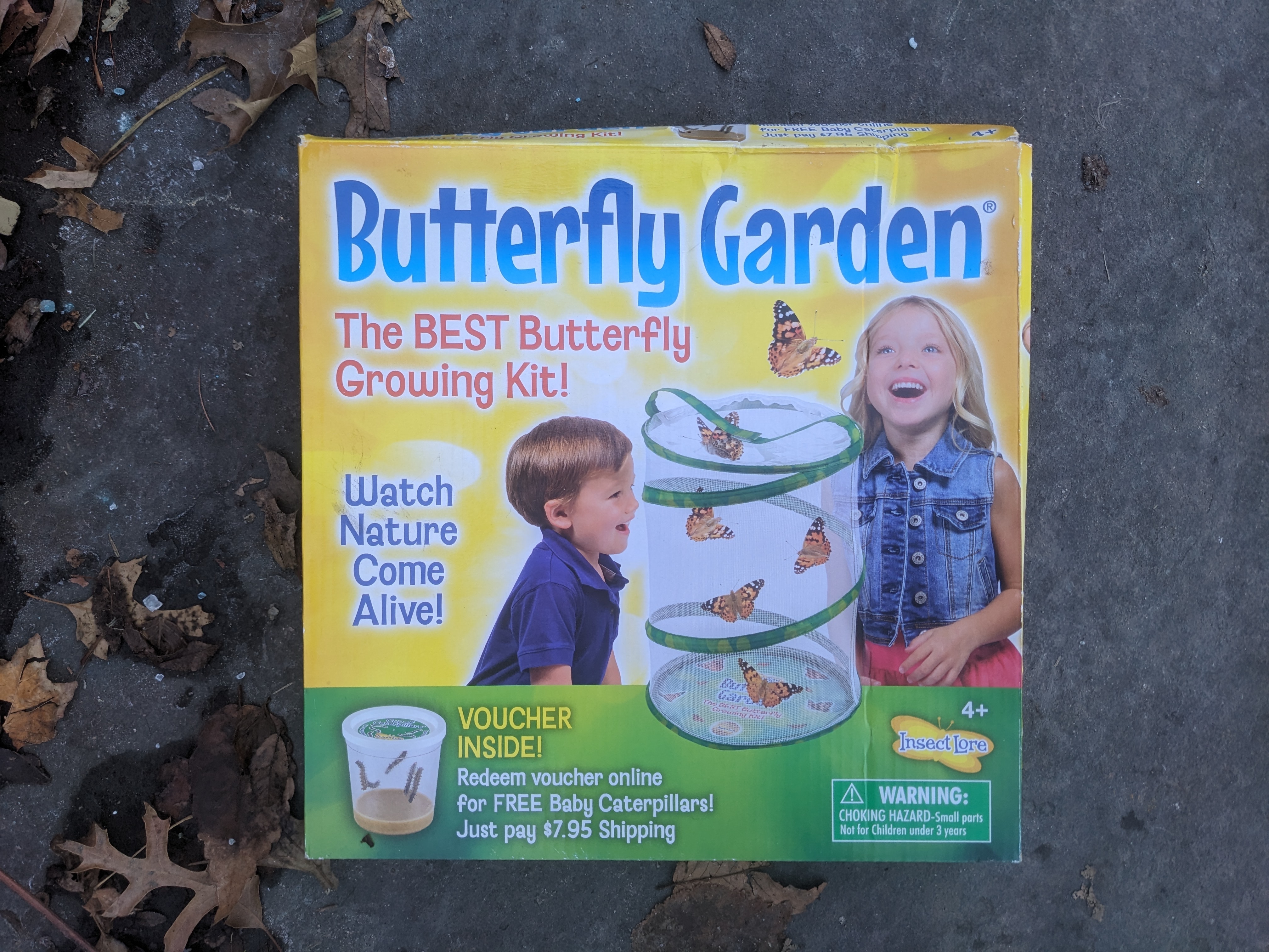 Butterfly Garden