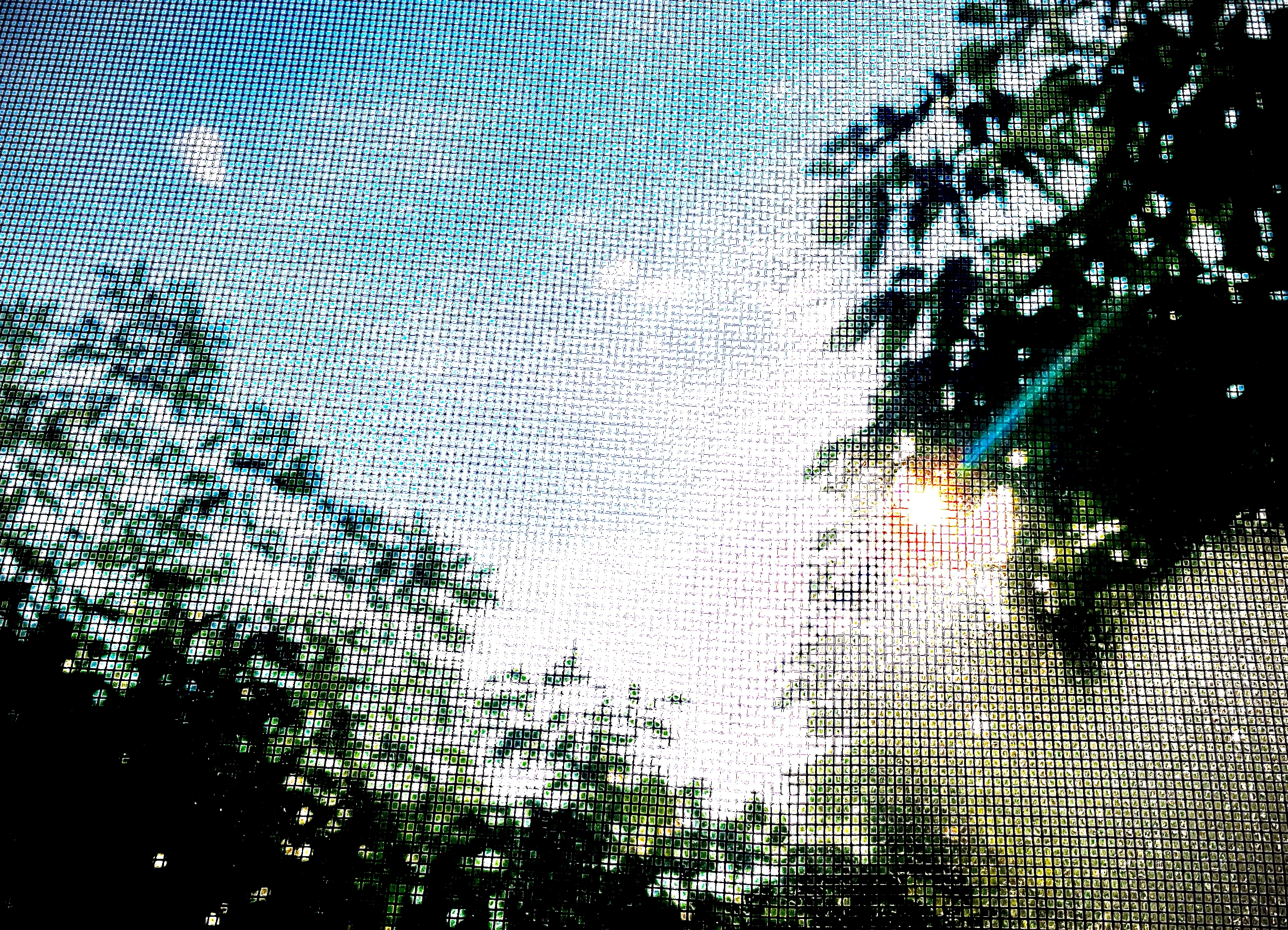 Calm Mornings 2