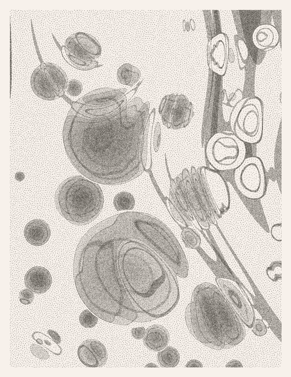 Bubbling, Part 3