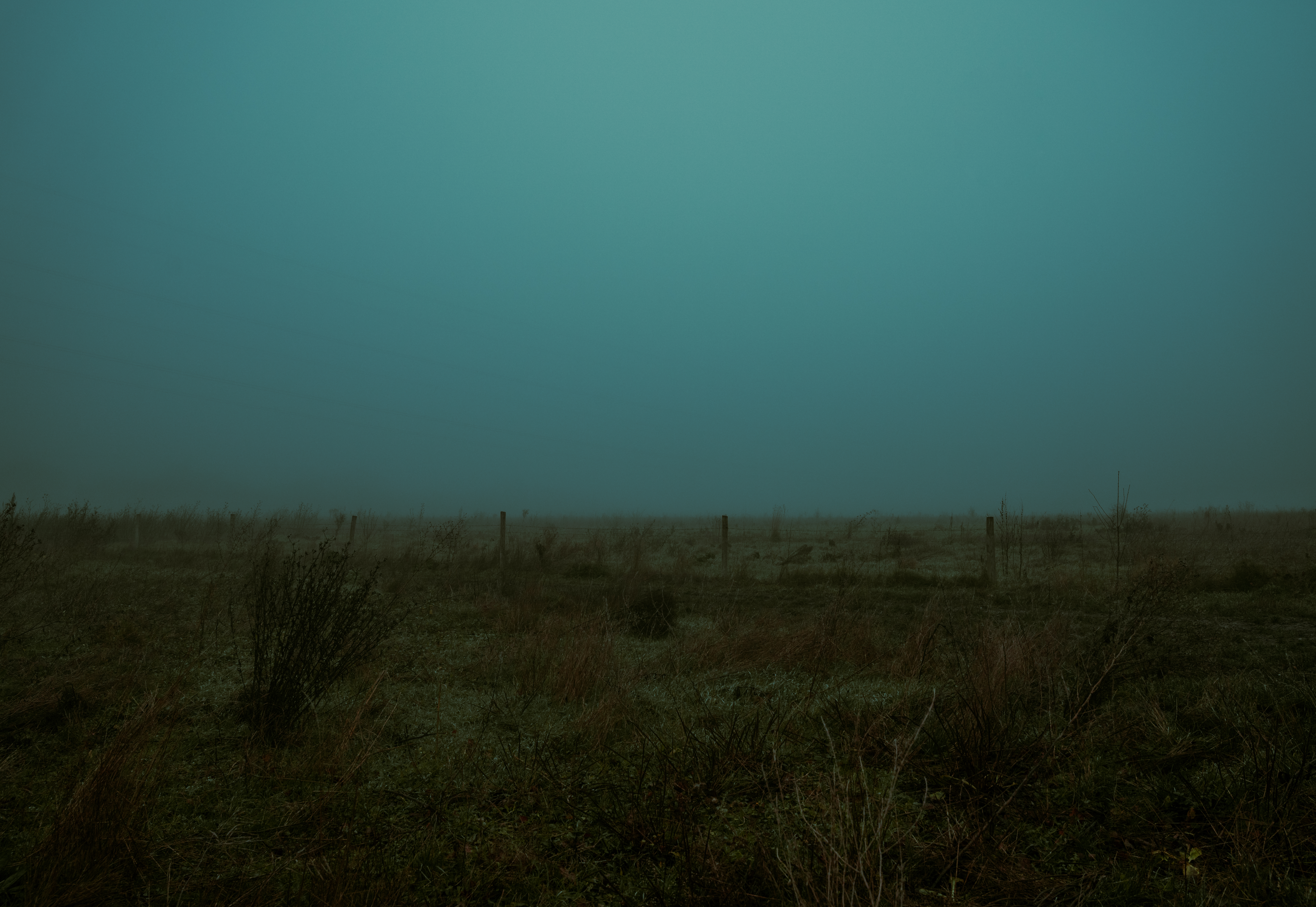Morning fog