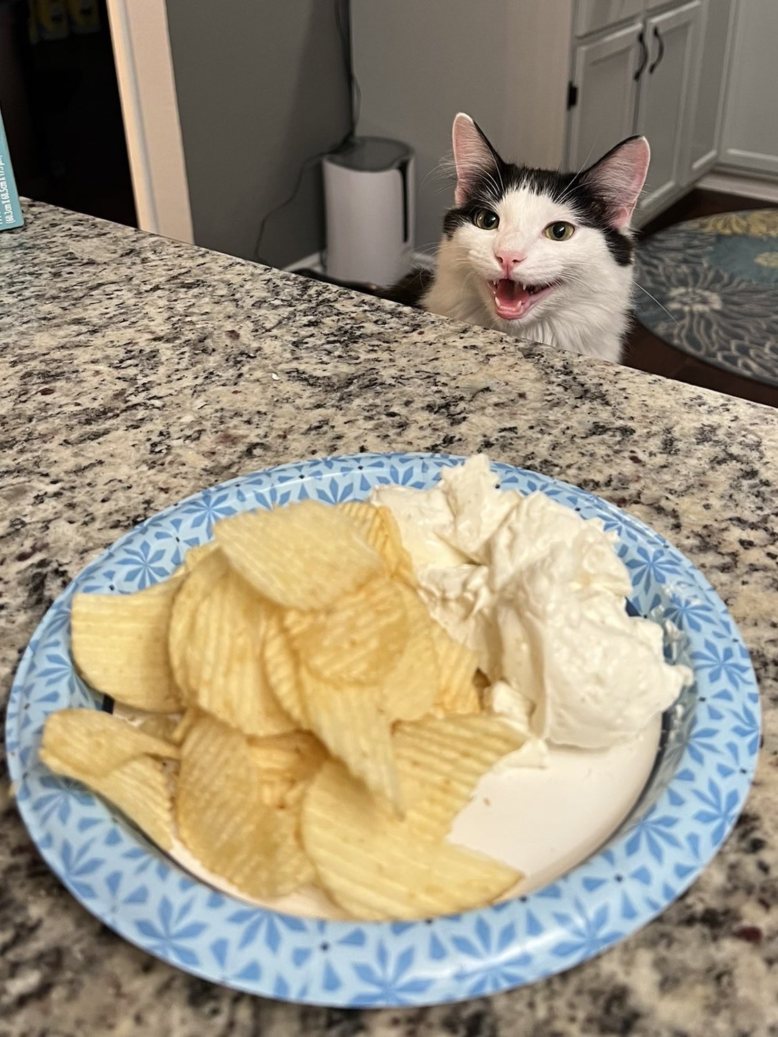 She Want Chips