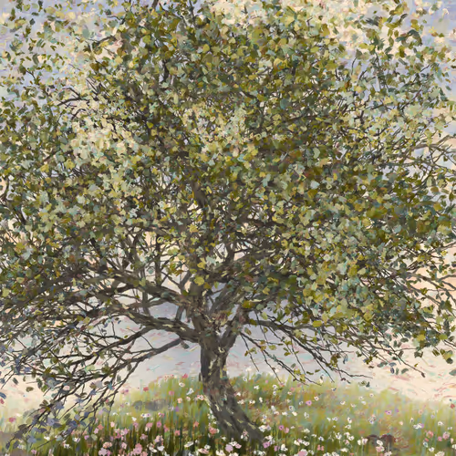 Tree in Spring