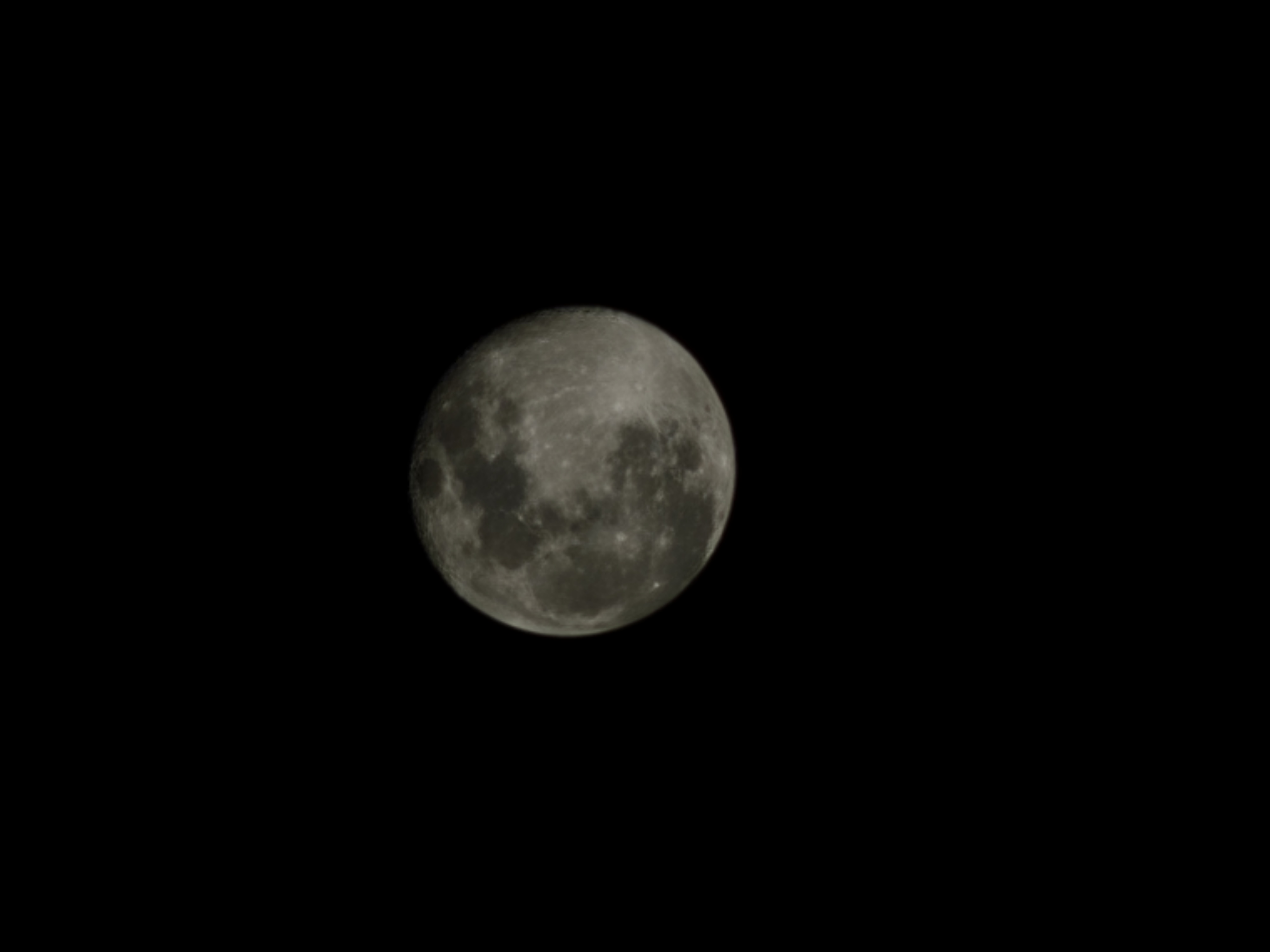 Day 26 🌕 #441
