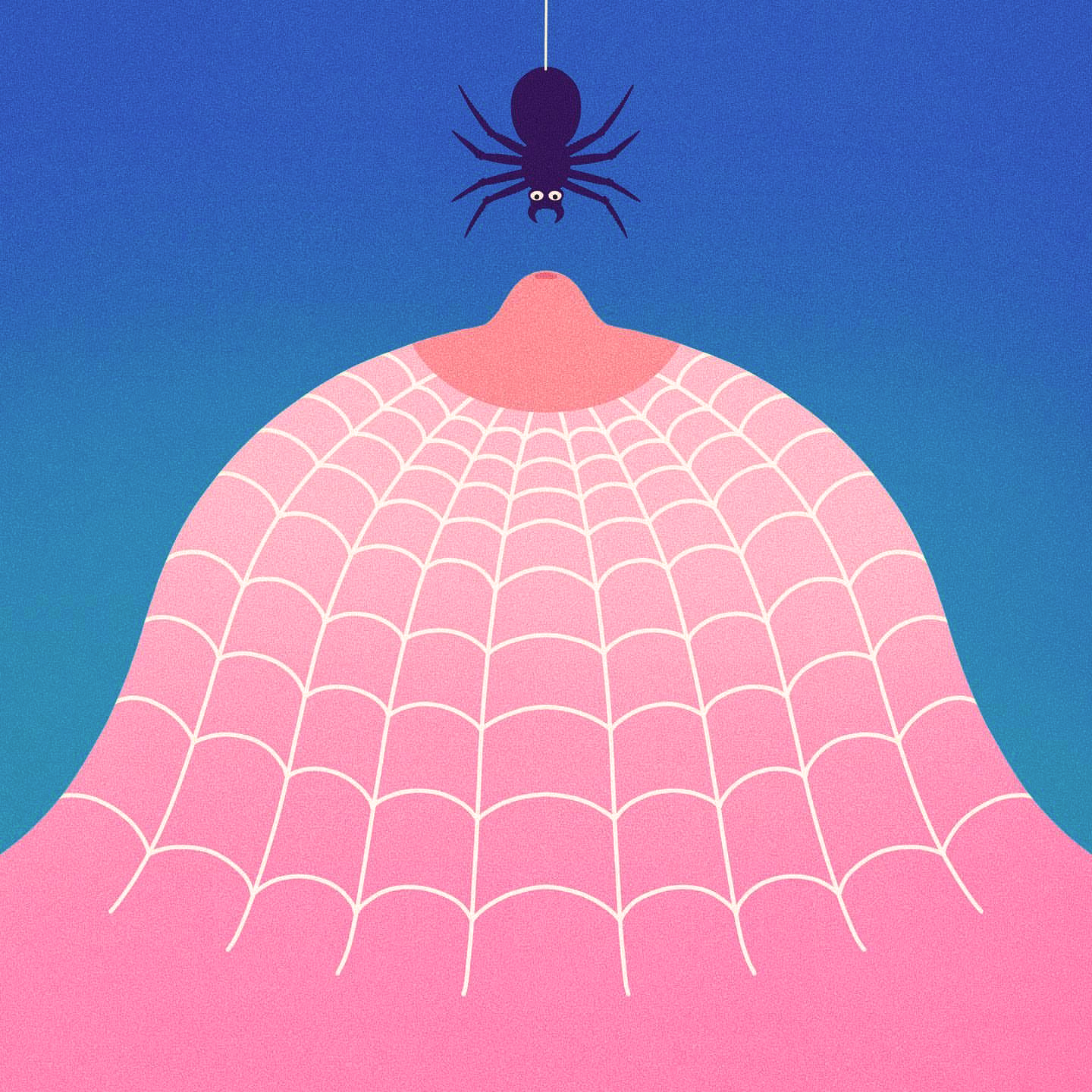 Spider