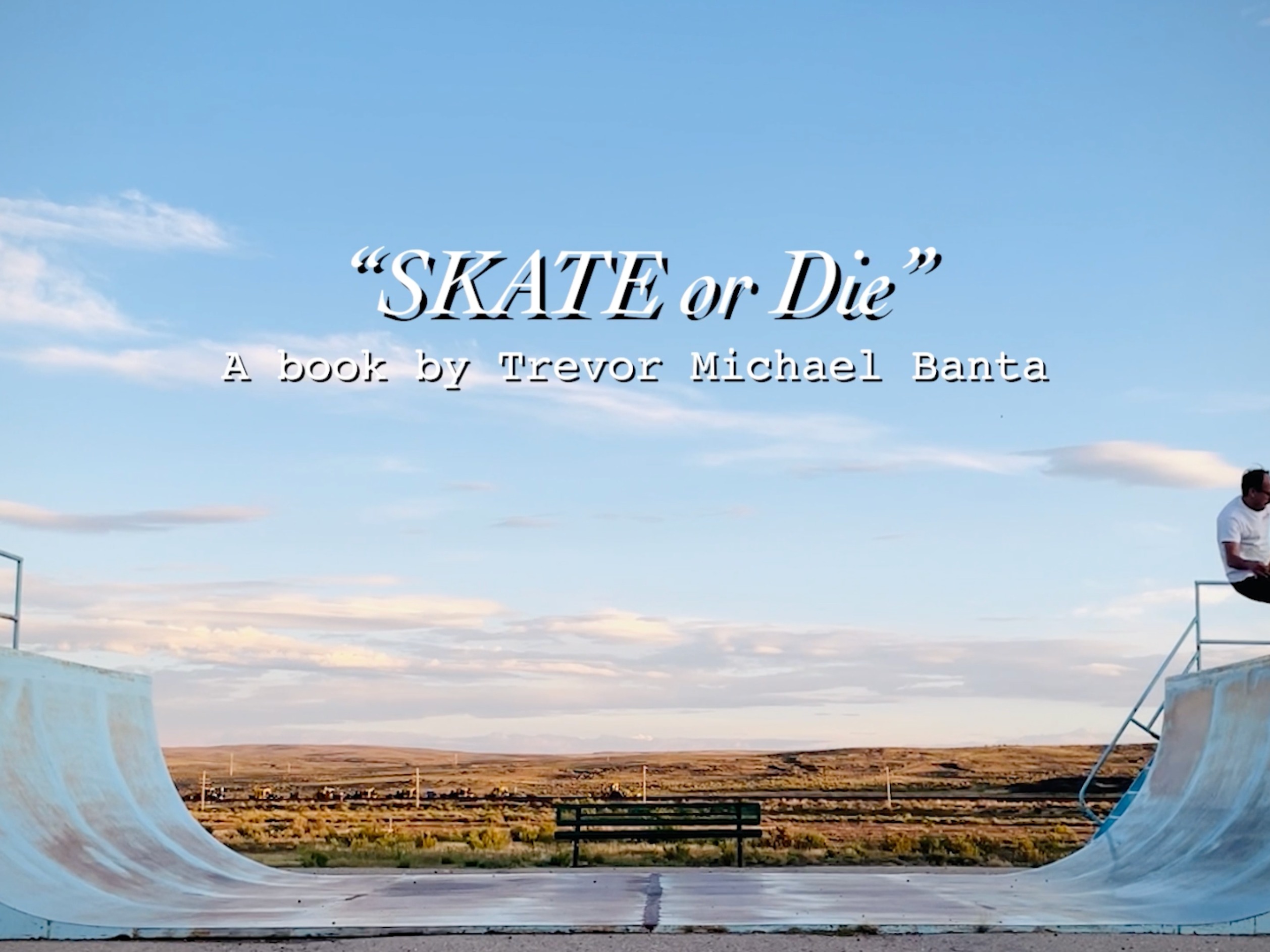 "SKATE OR DIE" preview