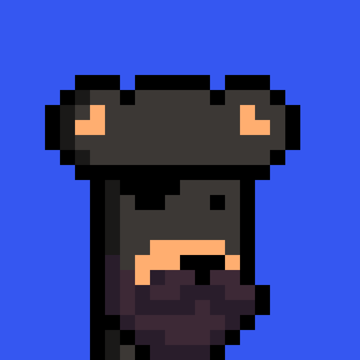 BearPunks #2219