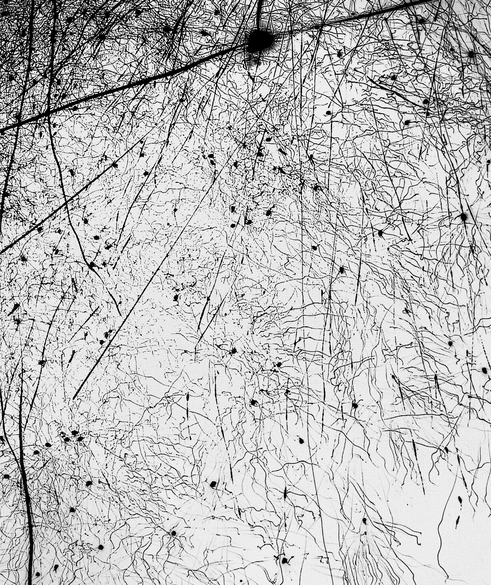 Interlude 94