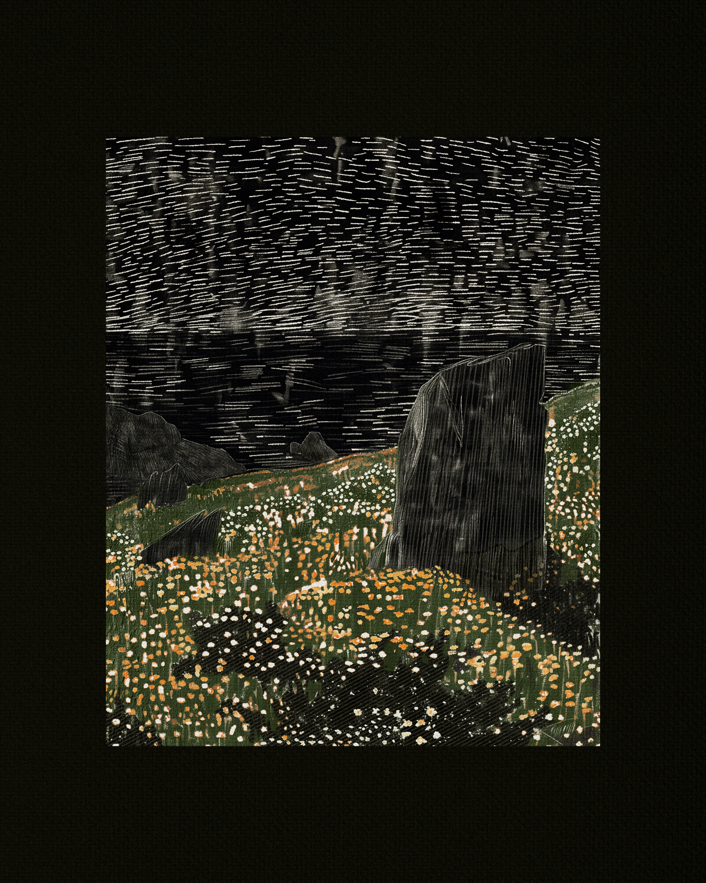 Coast #8
