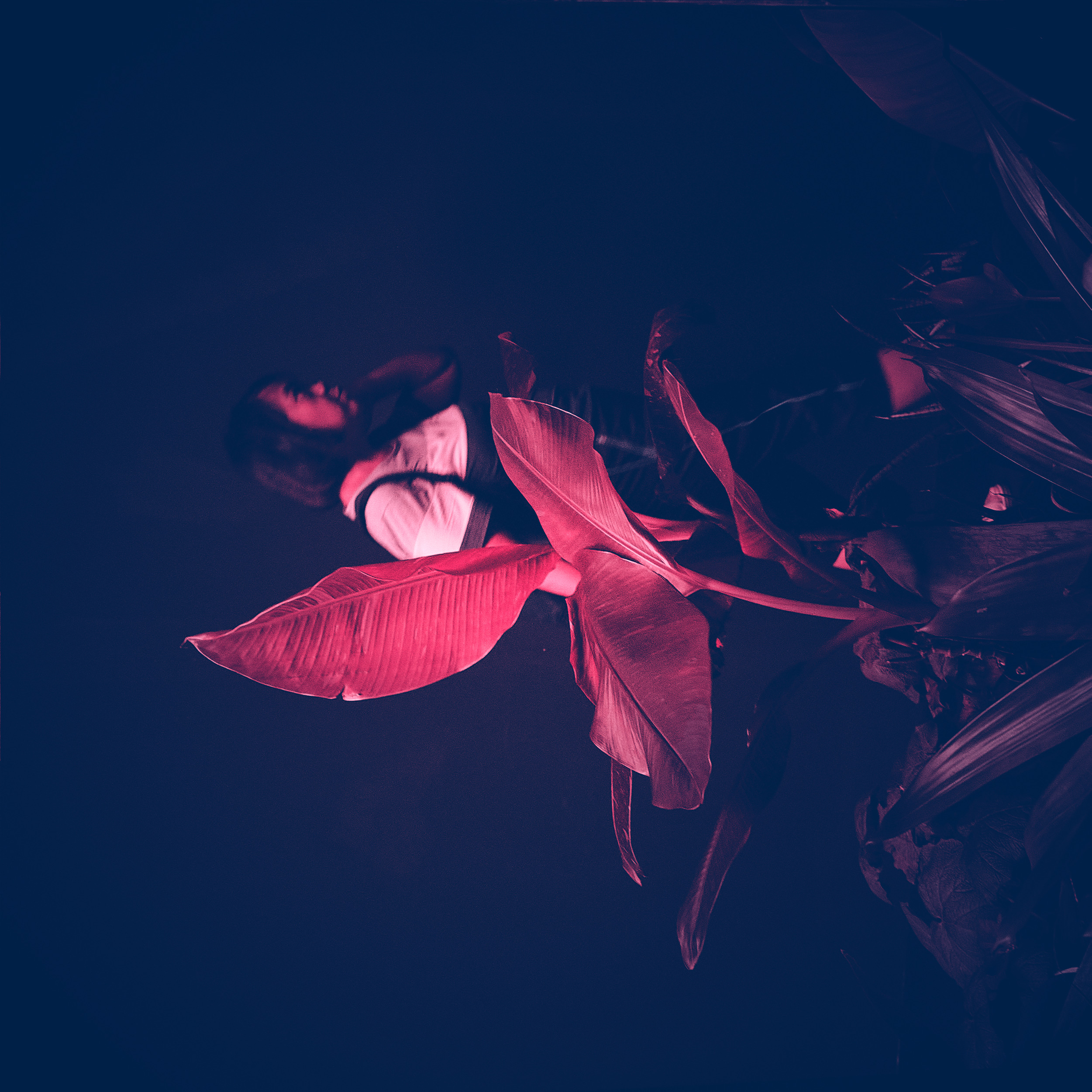 Neon Art Daily - 28 Sept 24