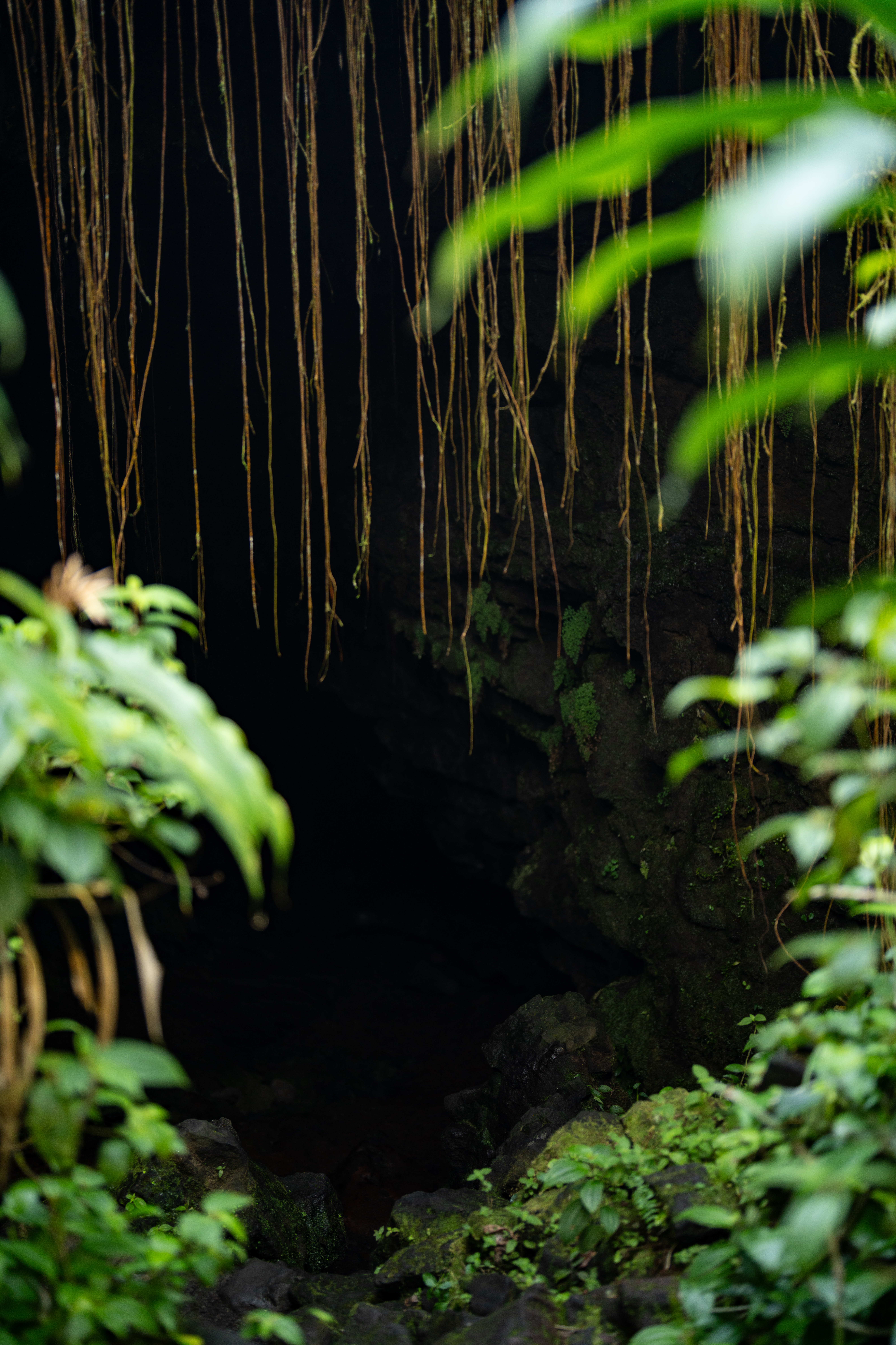 the cave