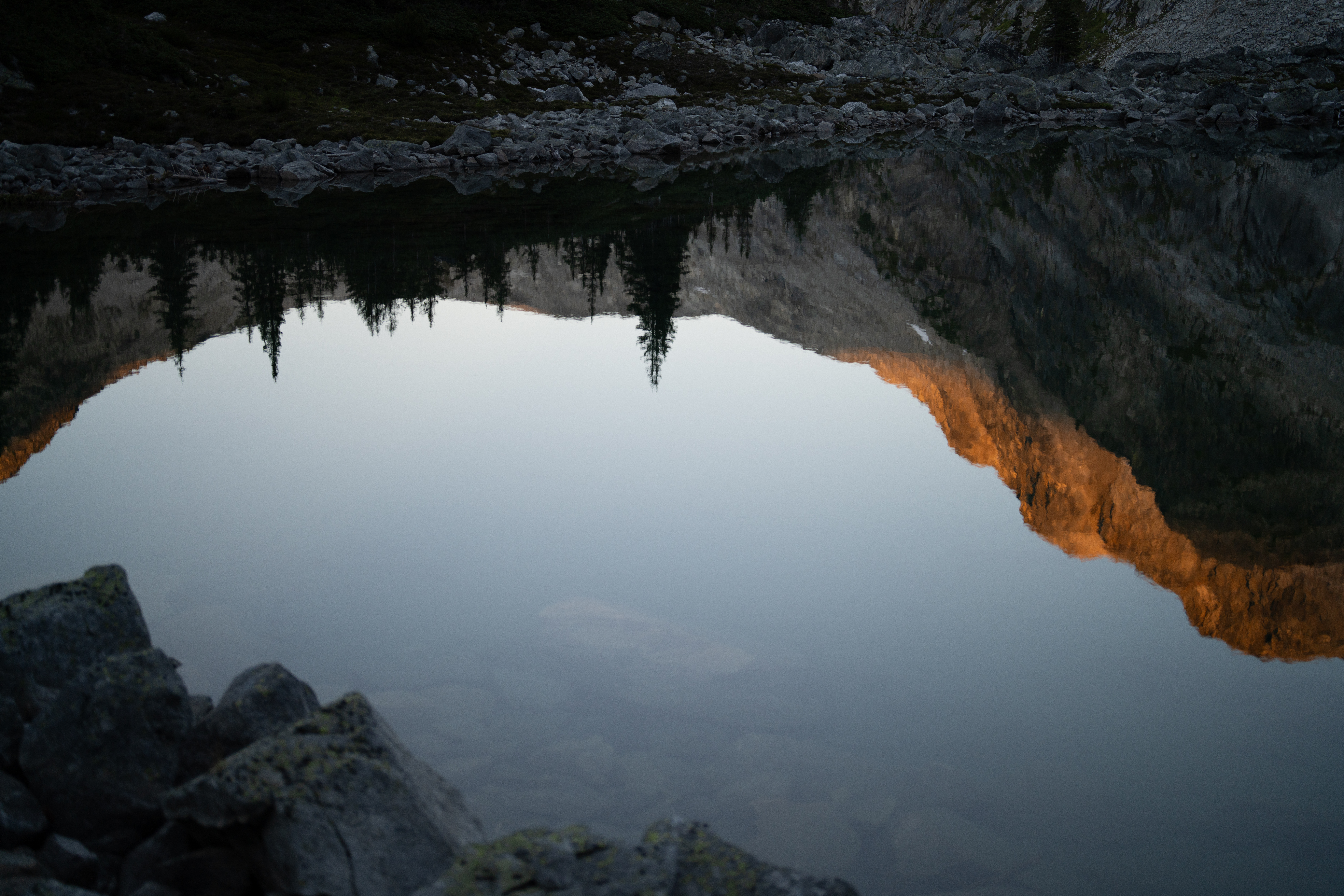 upside down - the view from here