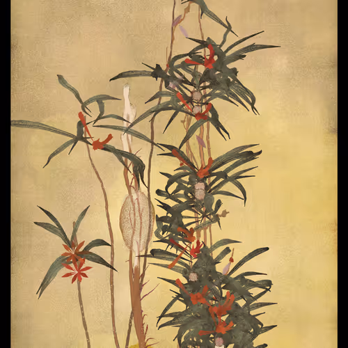 Exploring San Yu’s color palette
