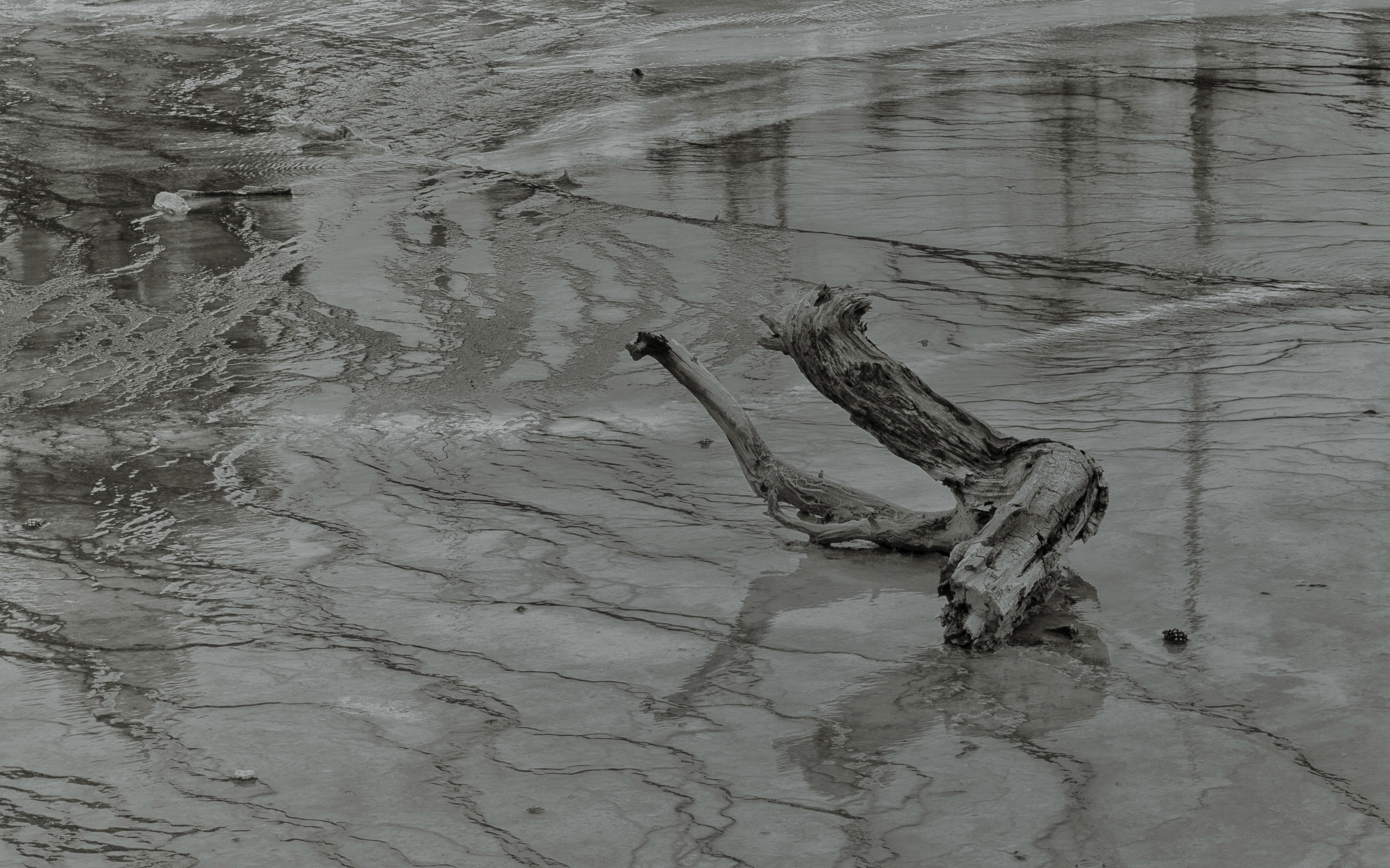 Snapshot #13