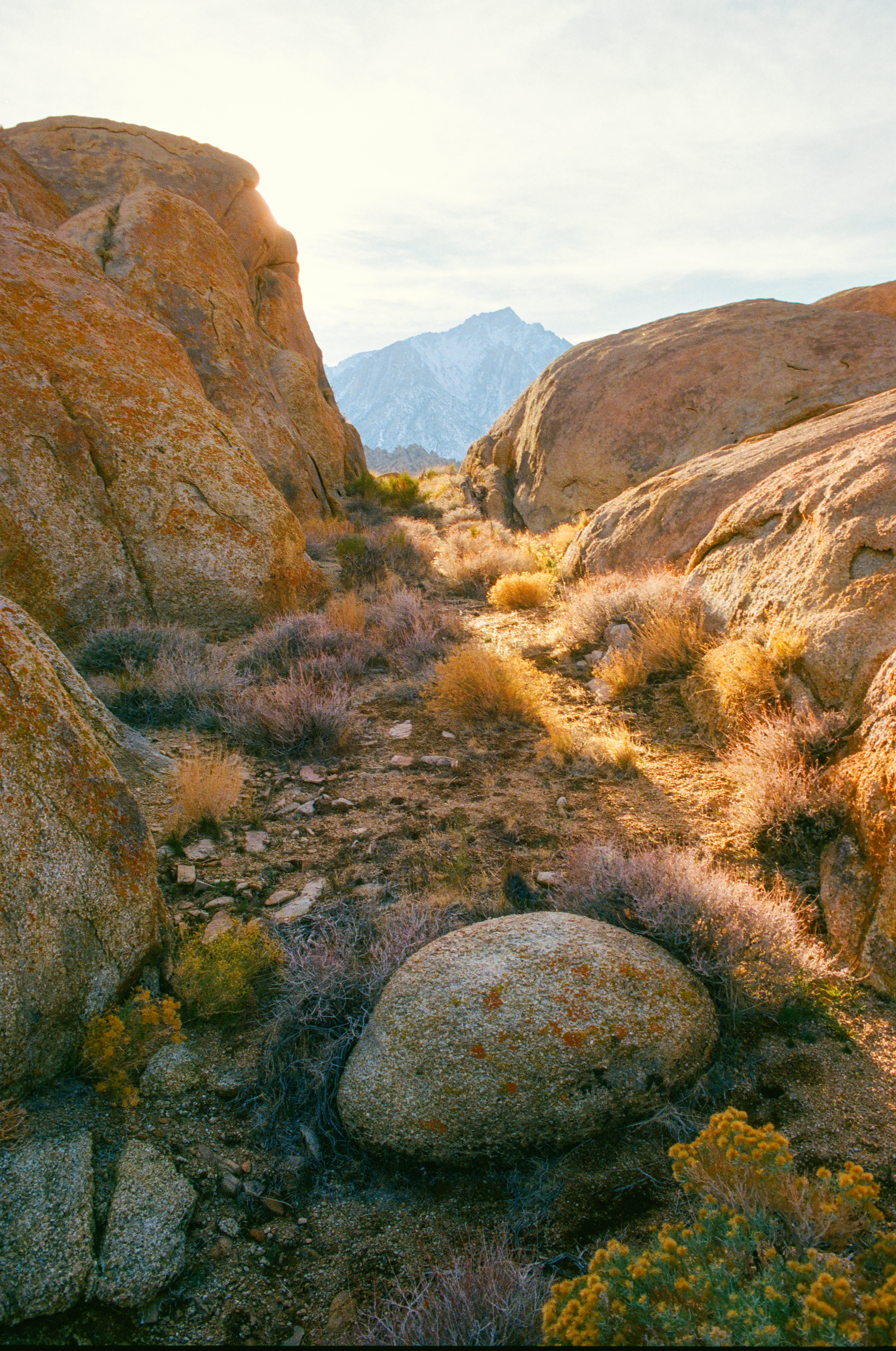 Desert Light