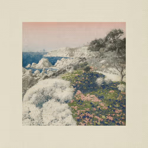 Coast #15