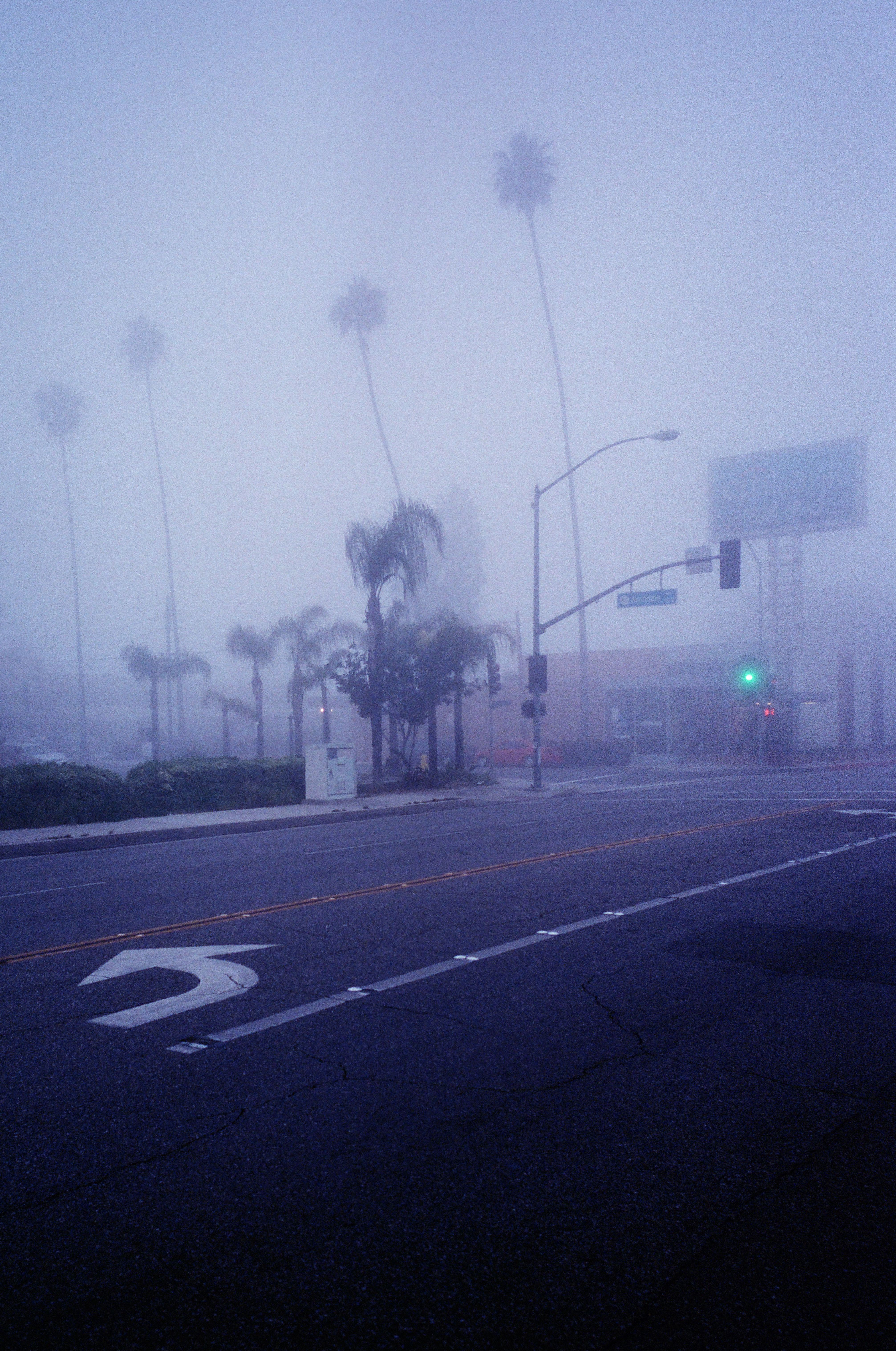 Velvet Dawn
