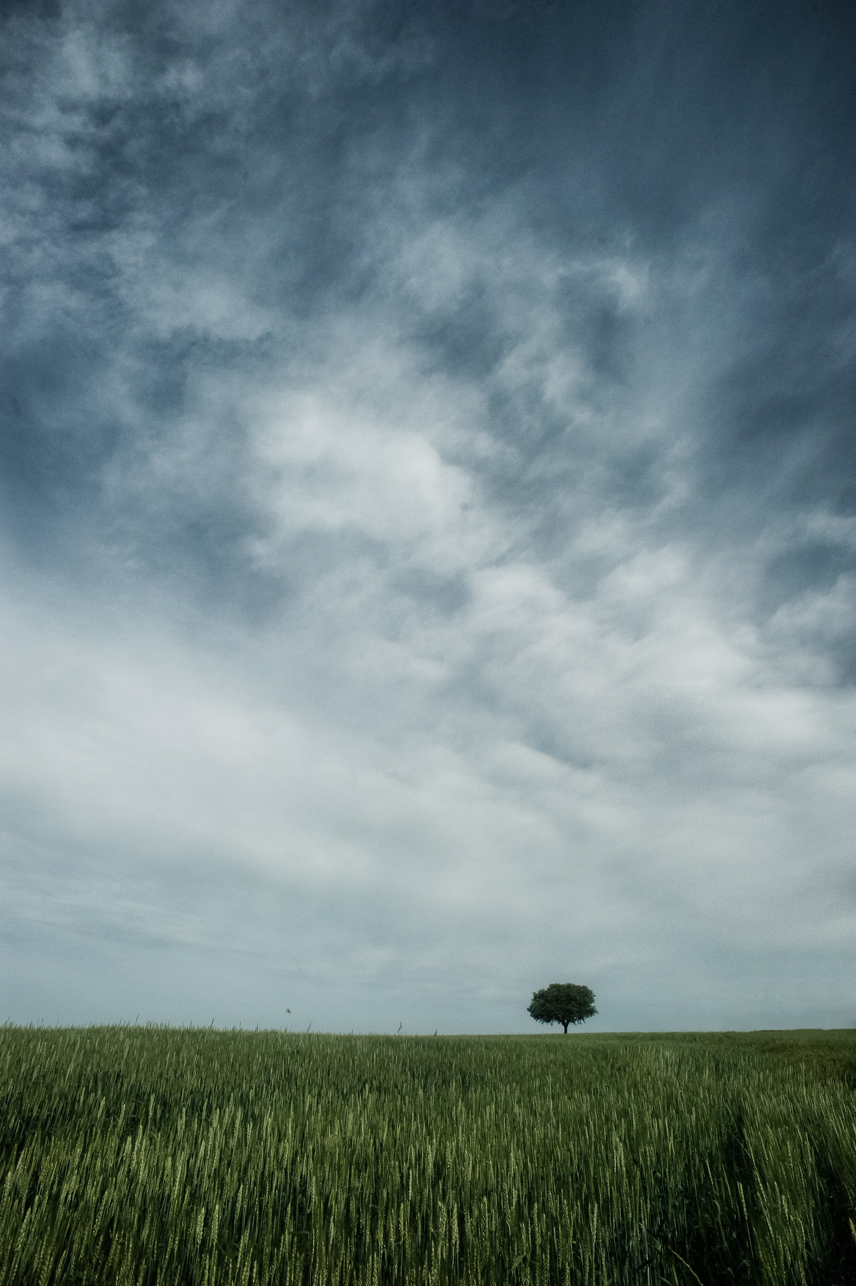 Slice of Nature #61