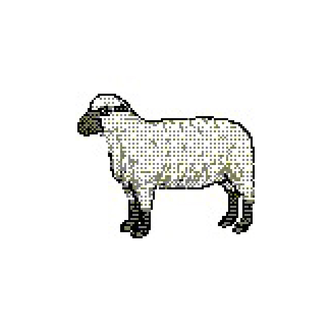 SHEEPT