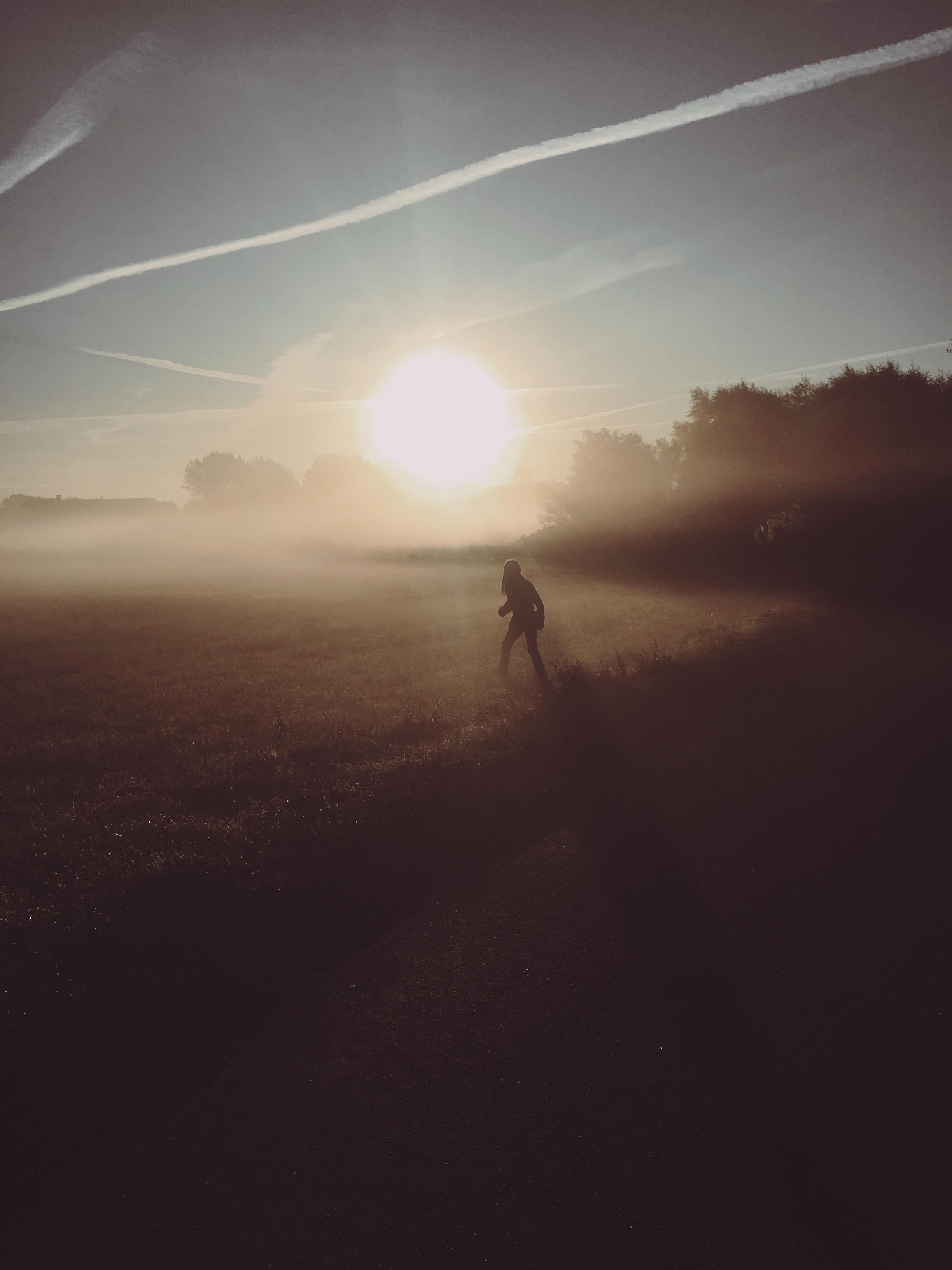 A lucid dream walk