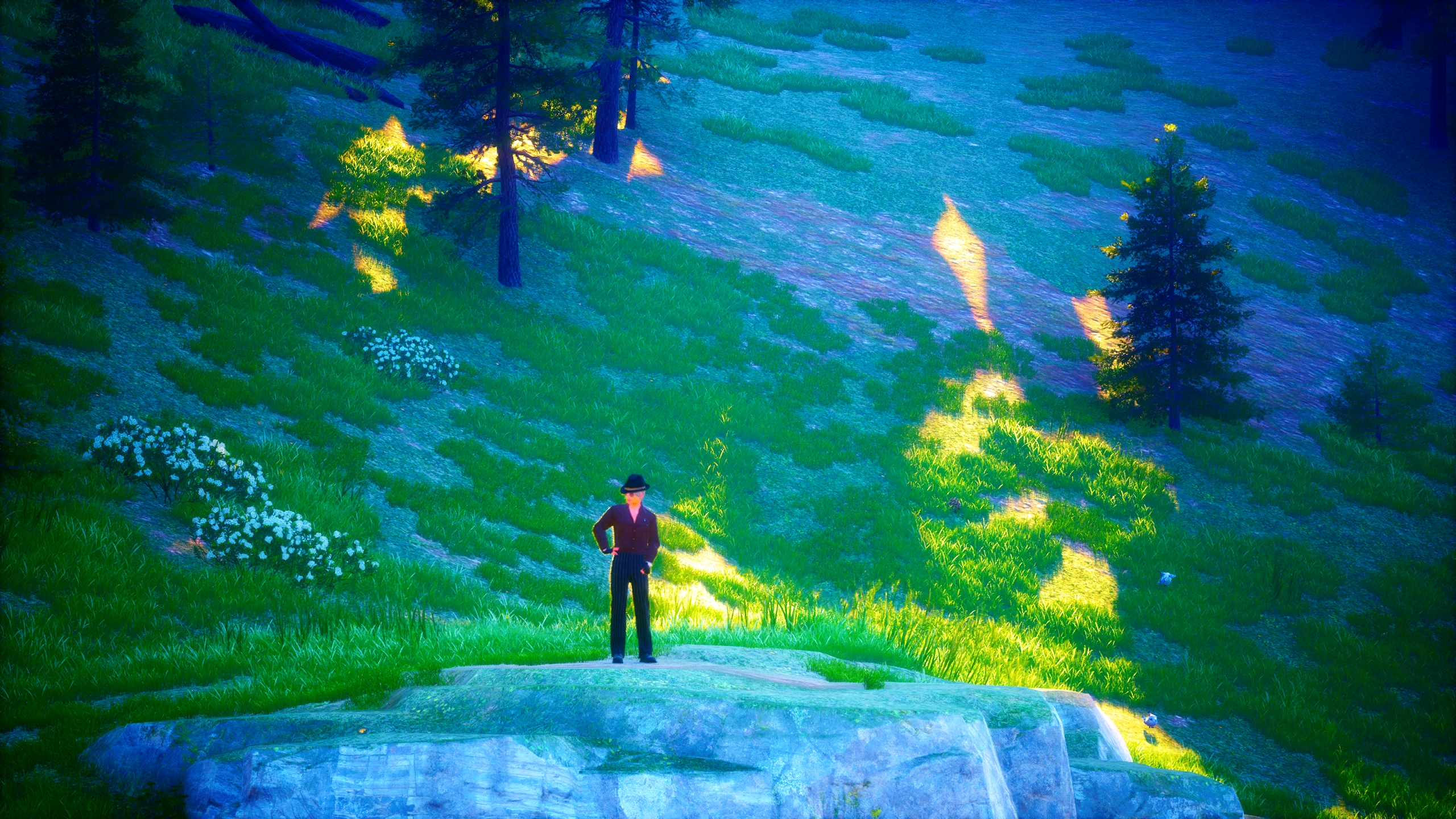 2024 12 27 18 18 33 2239012 (D Wanderer)