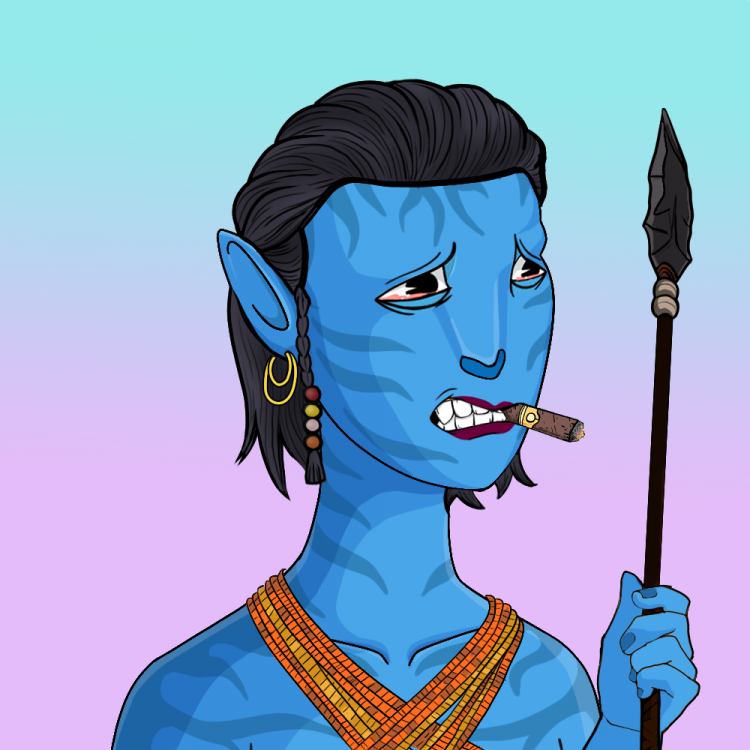 NAVATAR #193