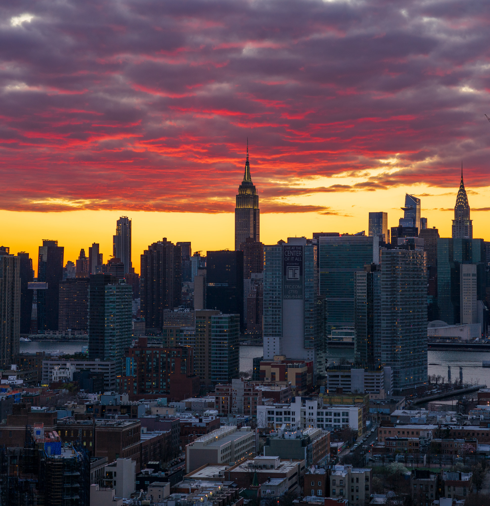 New York's Finest