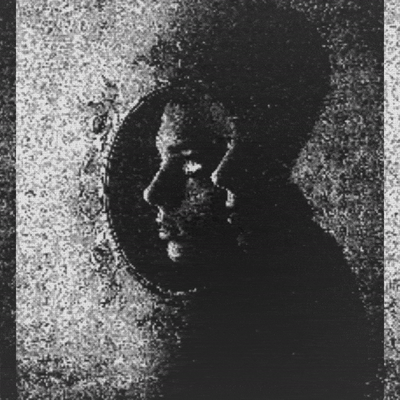 imprinted subservience