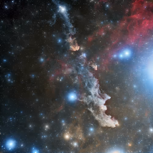 The Witch Head Nebula