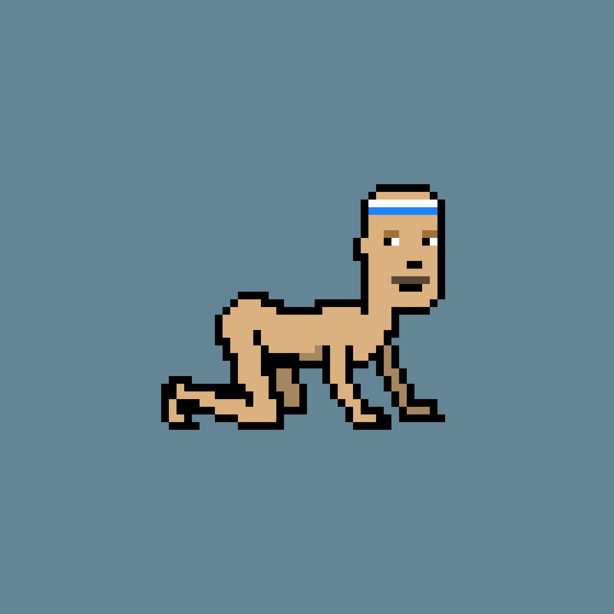 CrawlingPunk #6284