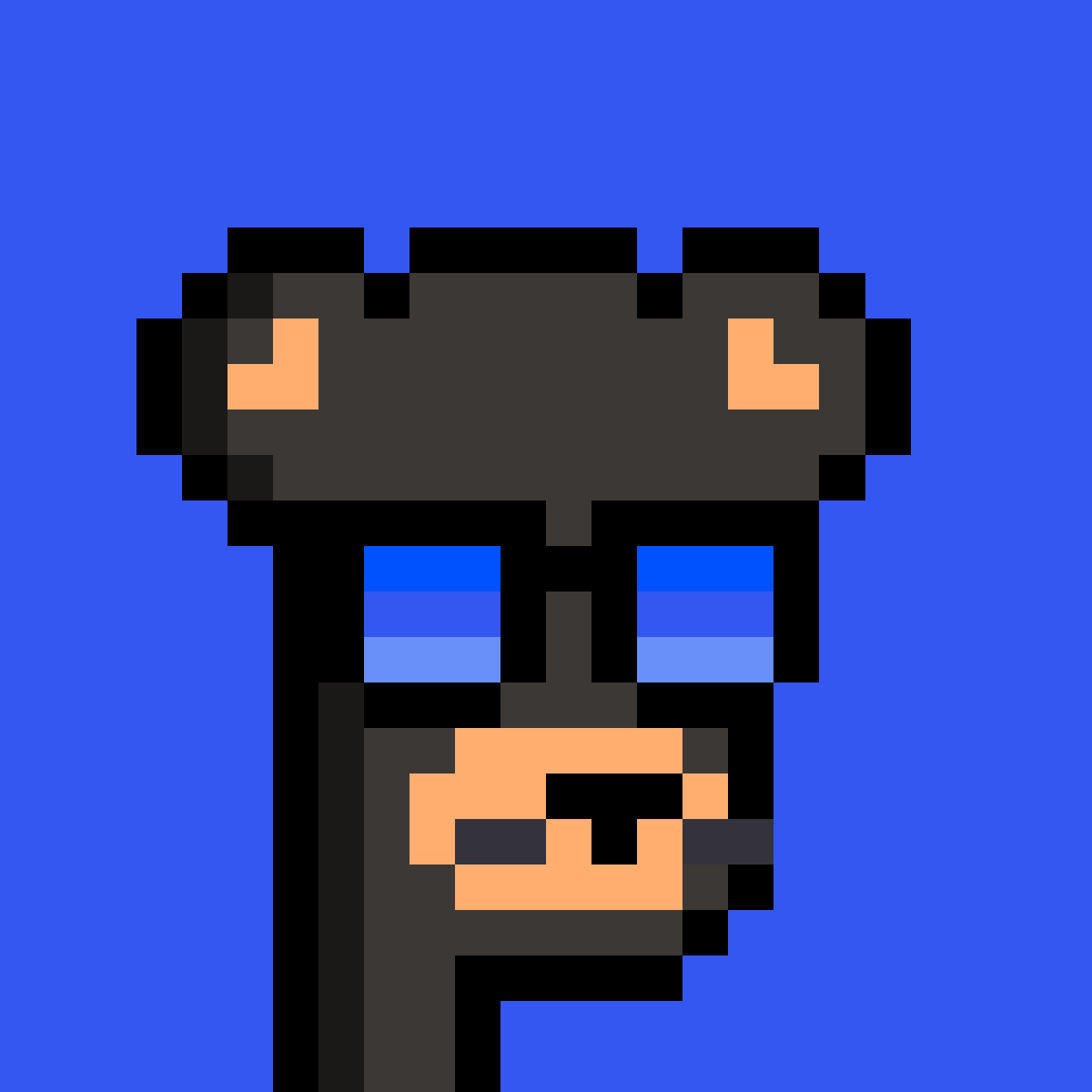 BearPunks #2205