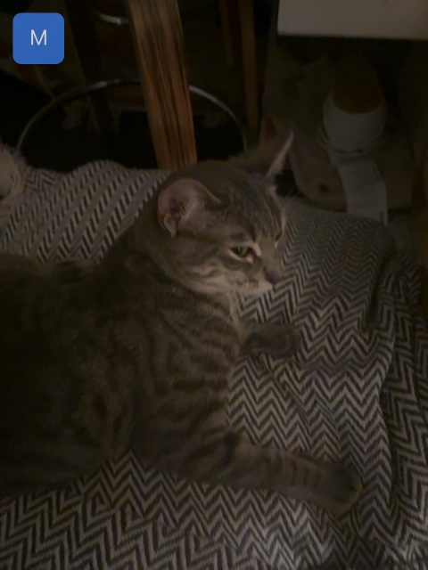 Techno wakes