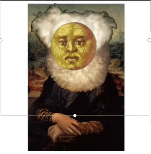 The monalisa is a dog.