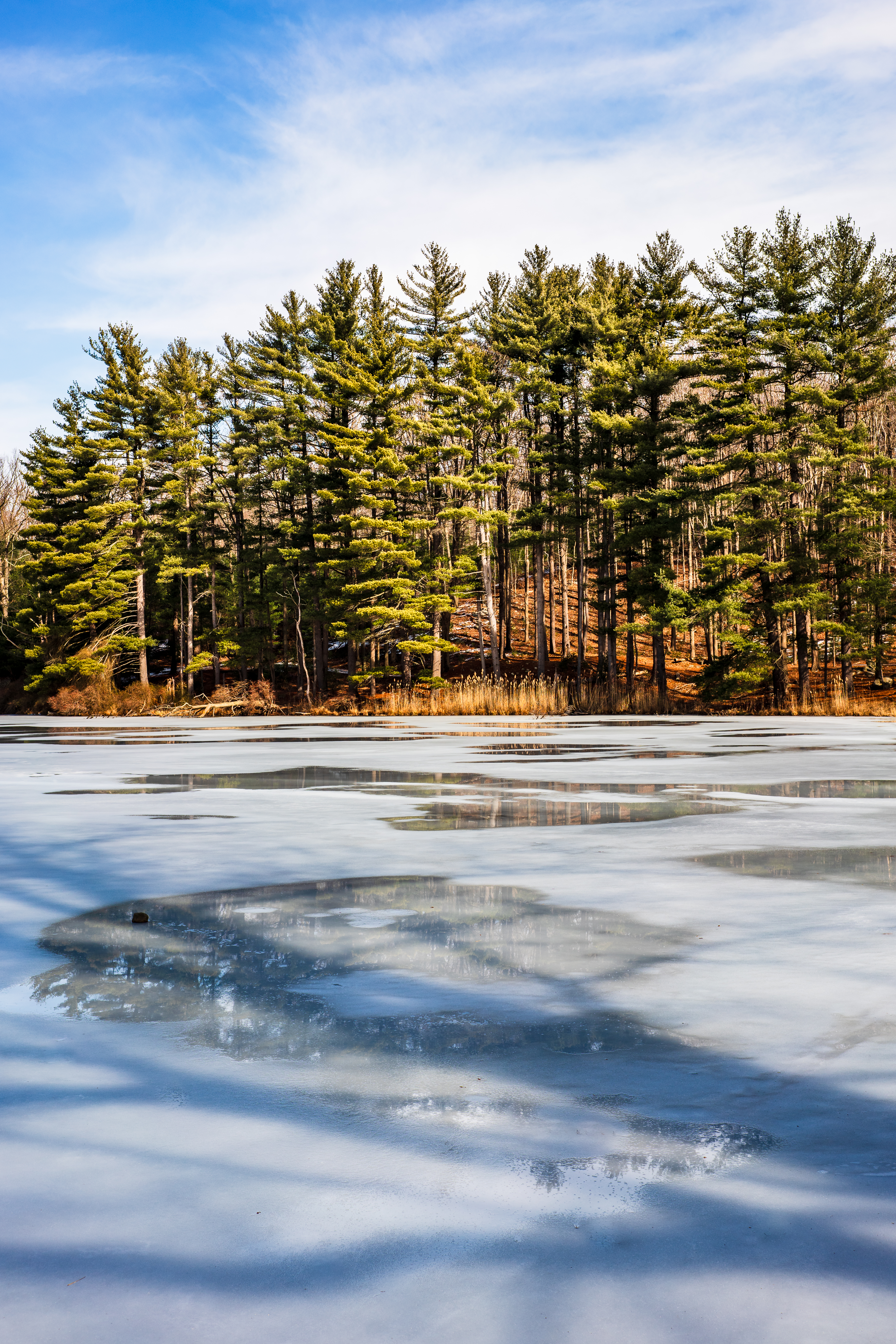 Winter Scene #003