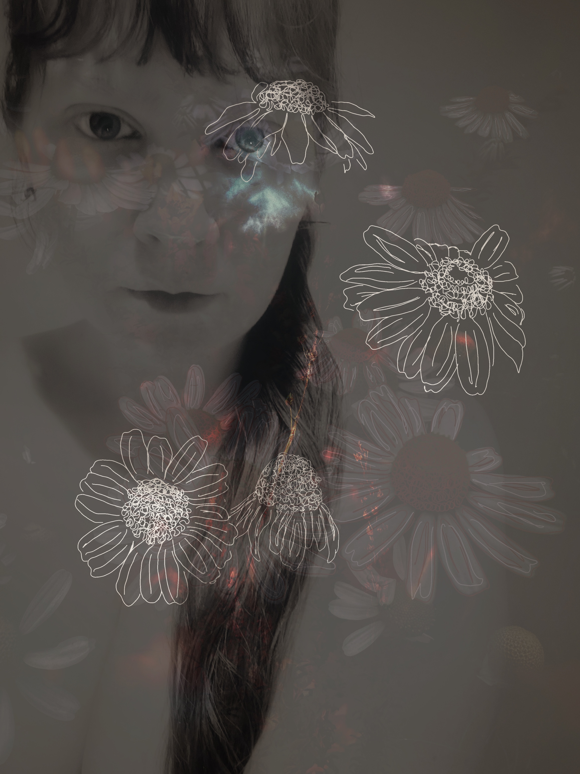 See Through Me