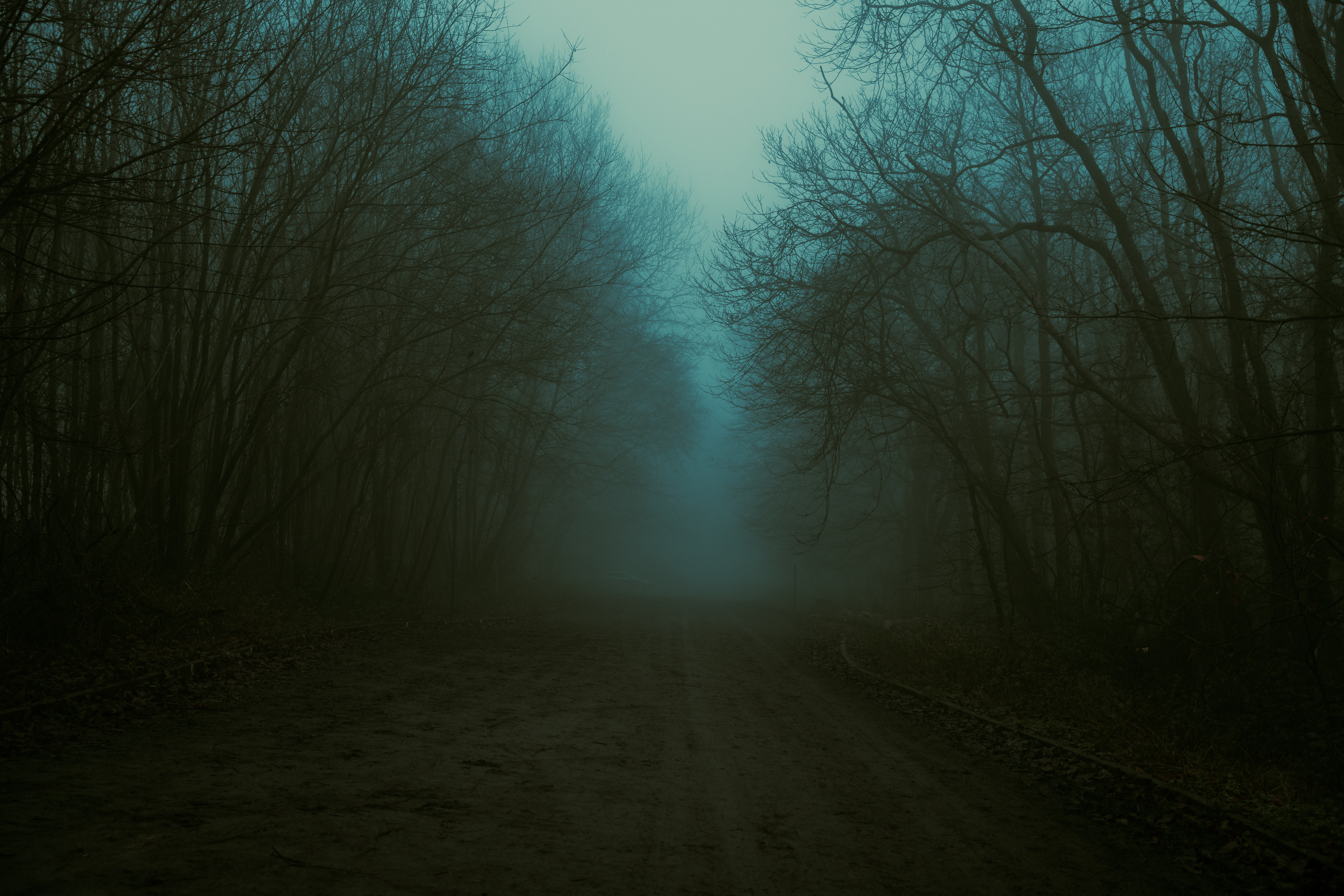 The never ending path