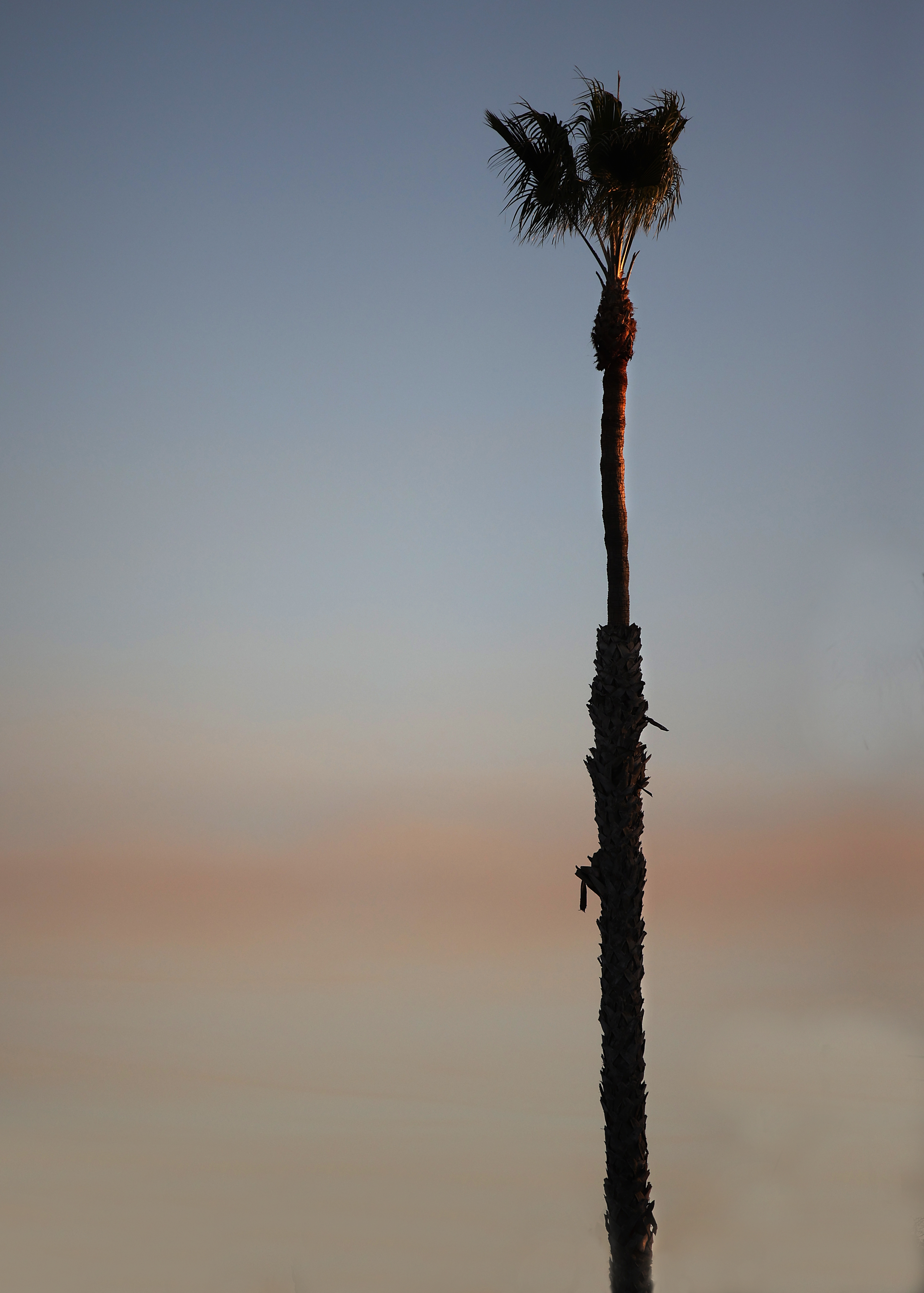 L.A. fires Skyline