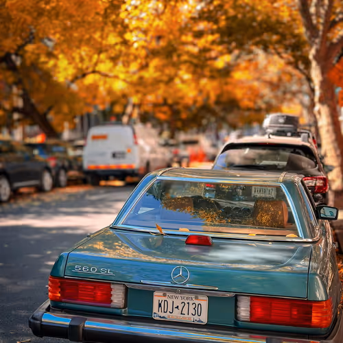 560SL Brooklyn Autumn 