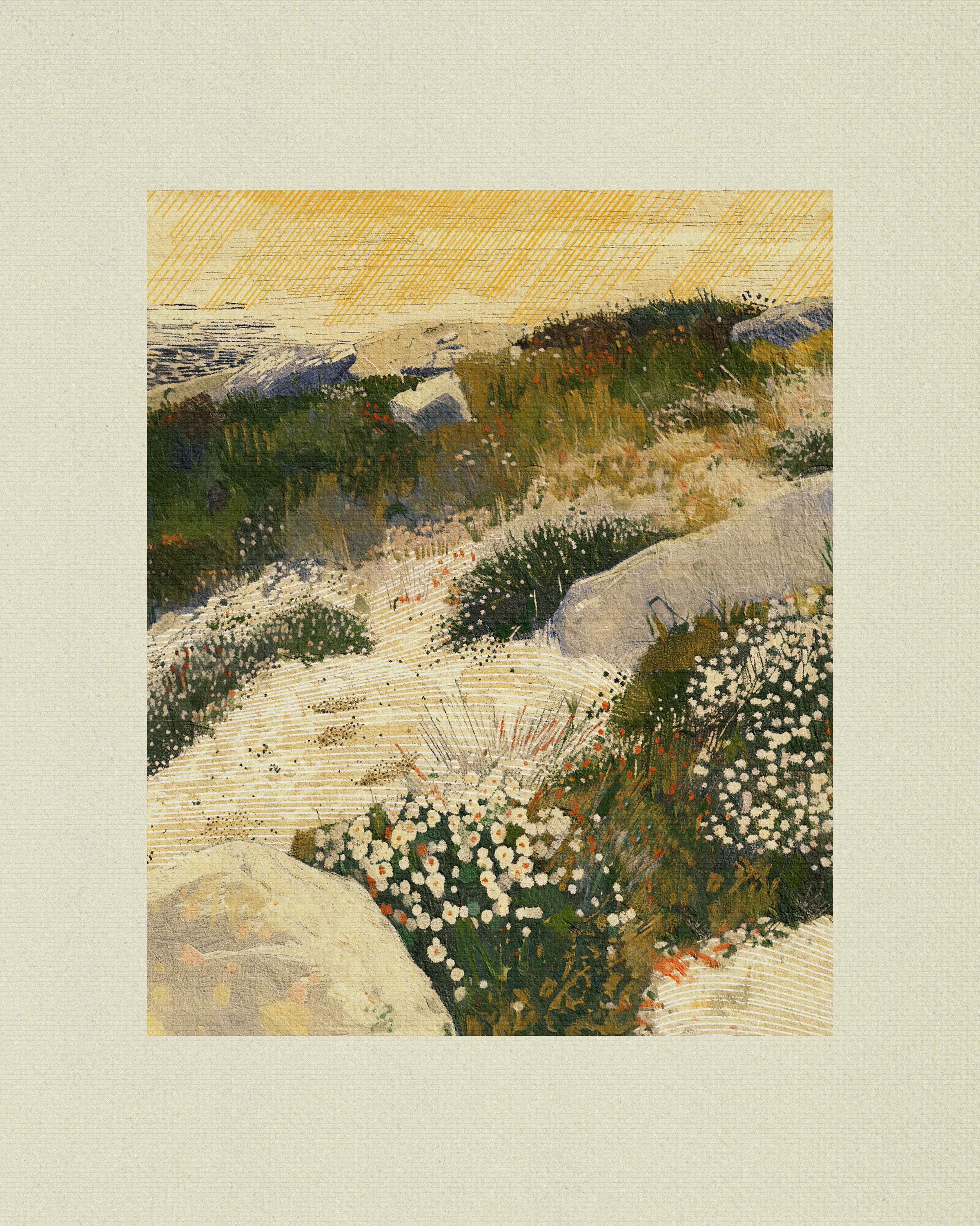 Coast #33