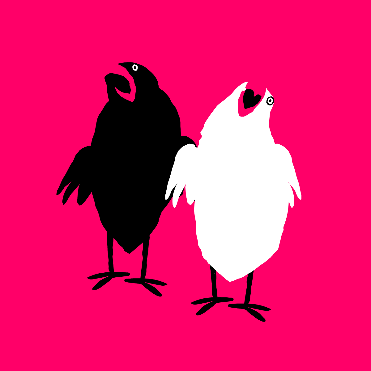 Parakeets Yeet Together On Pink