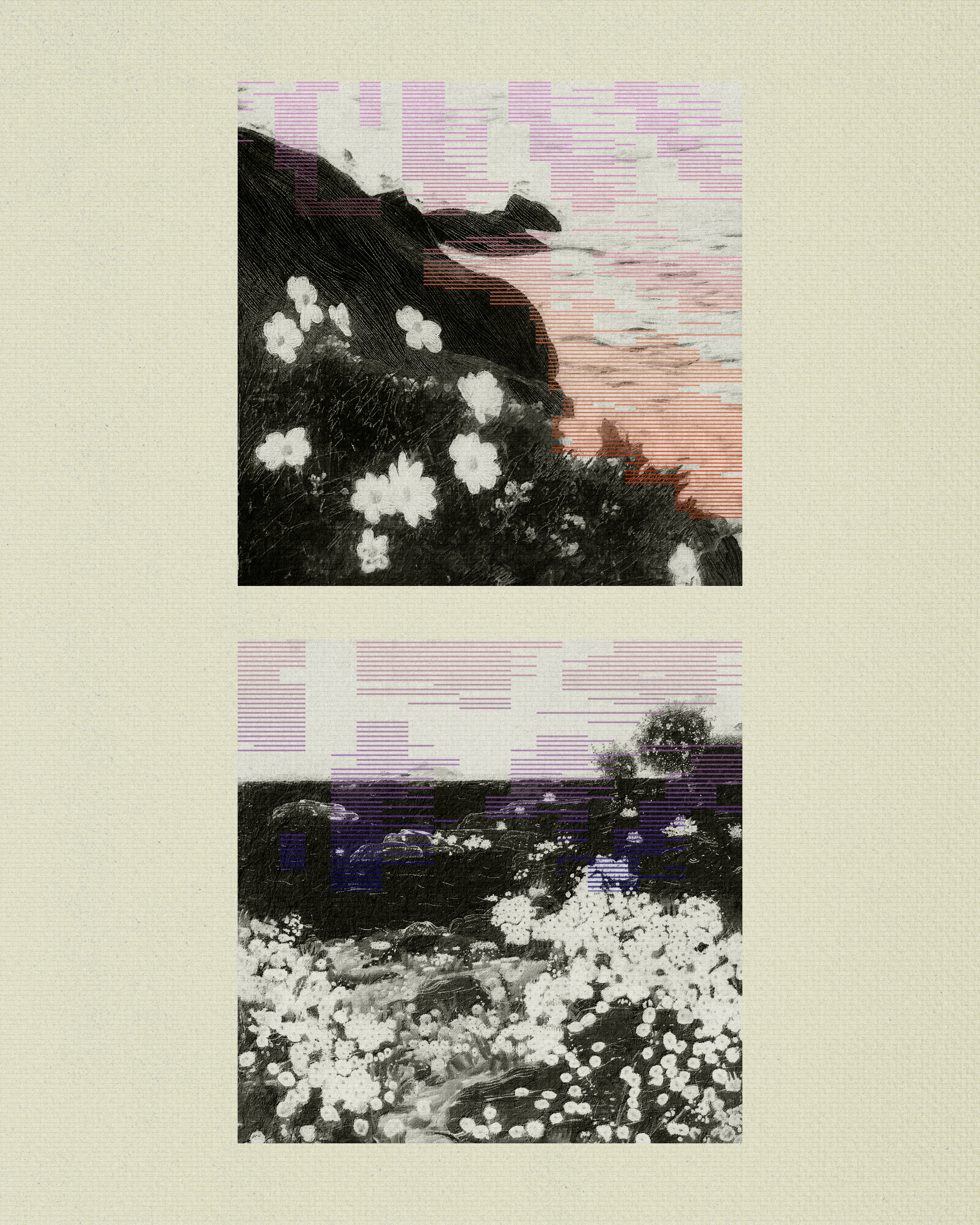 Coast #14