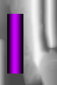 violeta