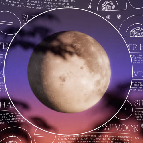 Harvest Supermoon