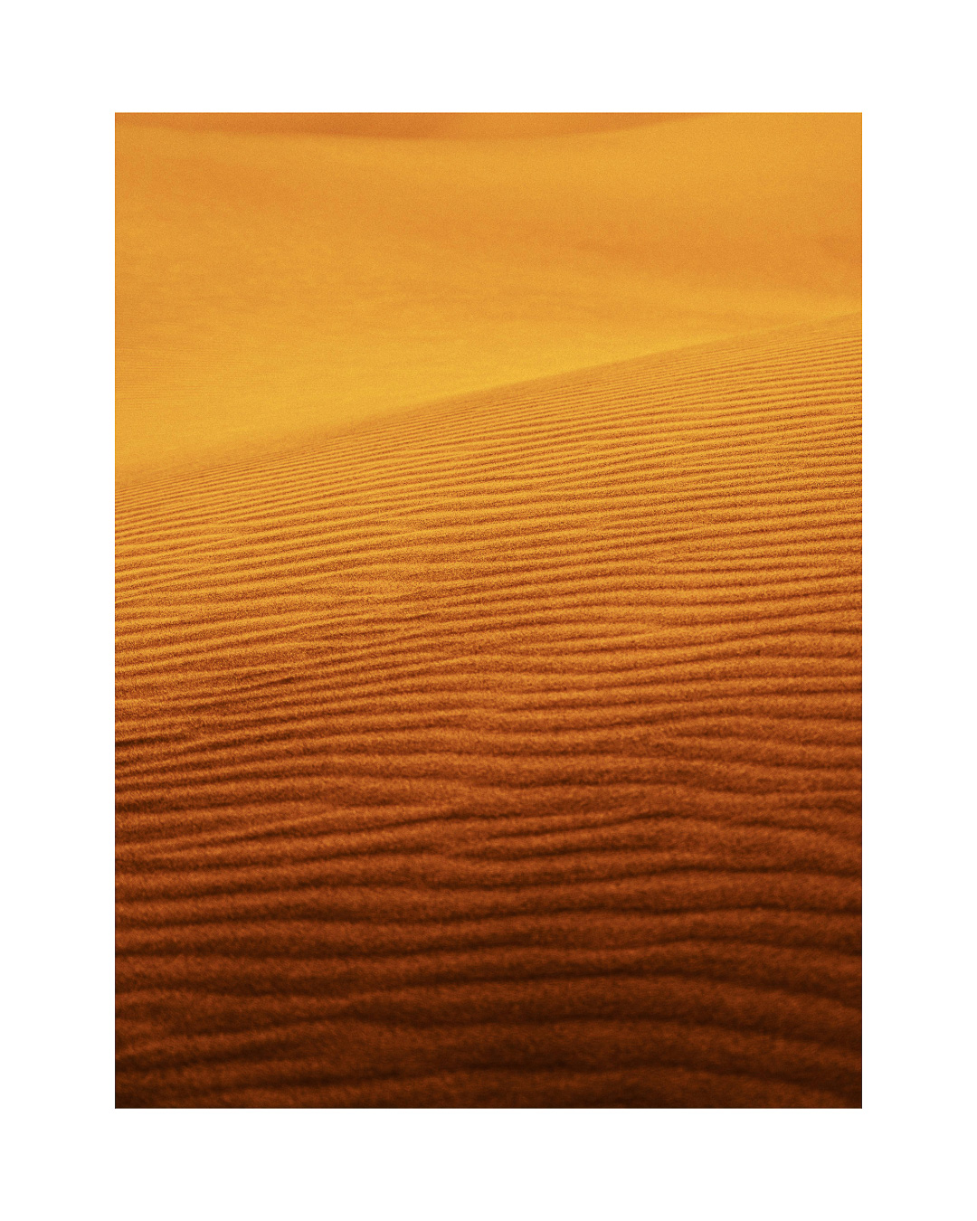 Forgotten Frames — 028