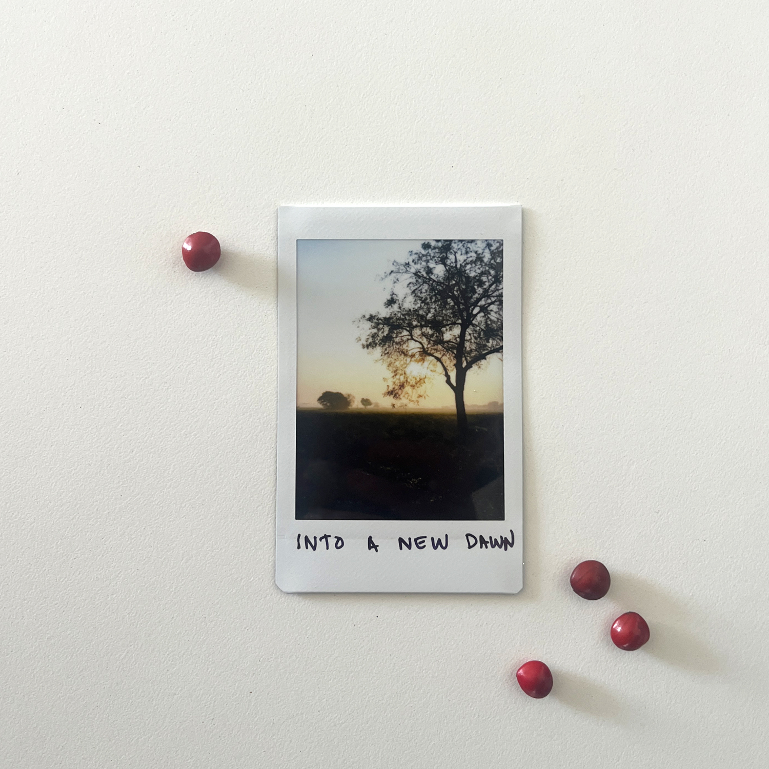Into a new dawn